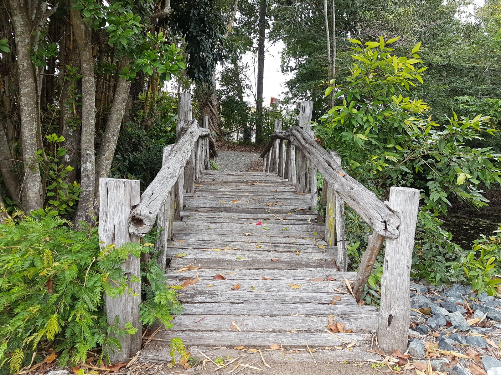 Samsung Galaxy S7 sample photo. Bridge, nature, country photography