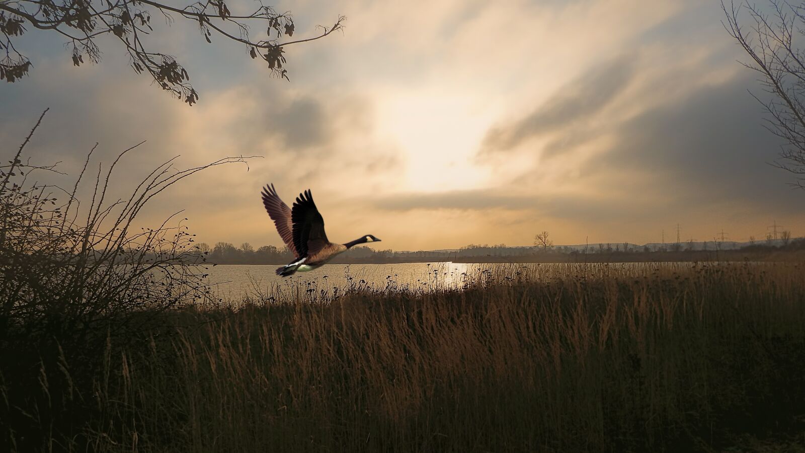 Fujifilm FinePix SL1000 sample photo. Twilight, sunrise, lake photography