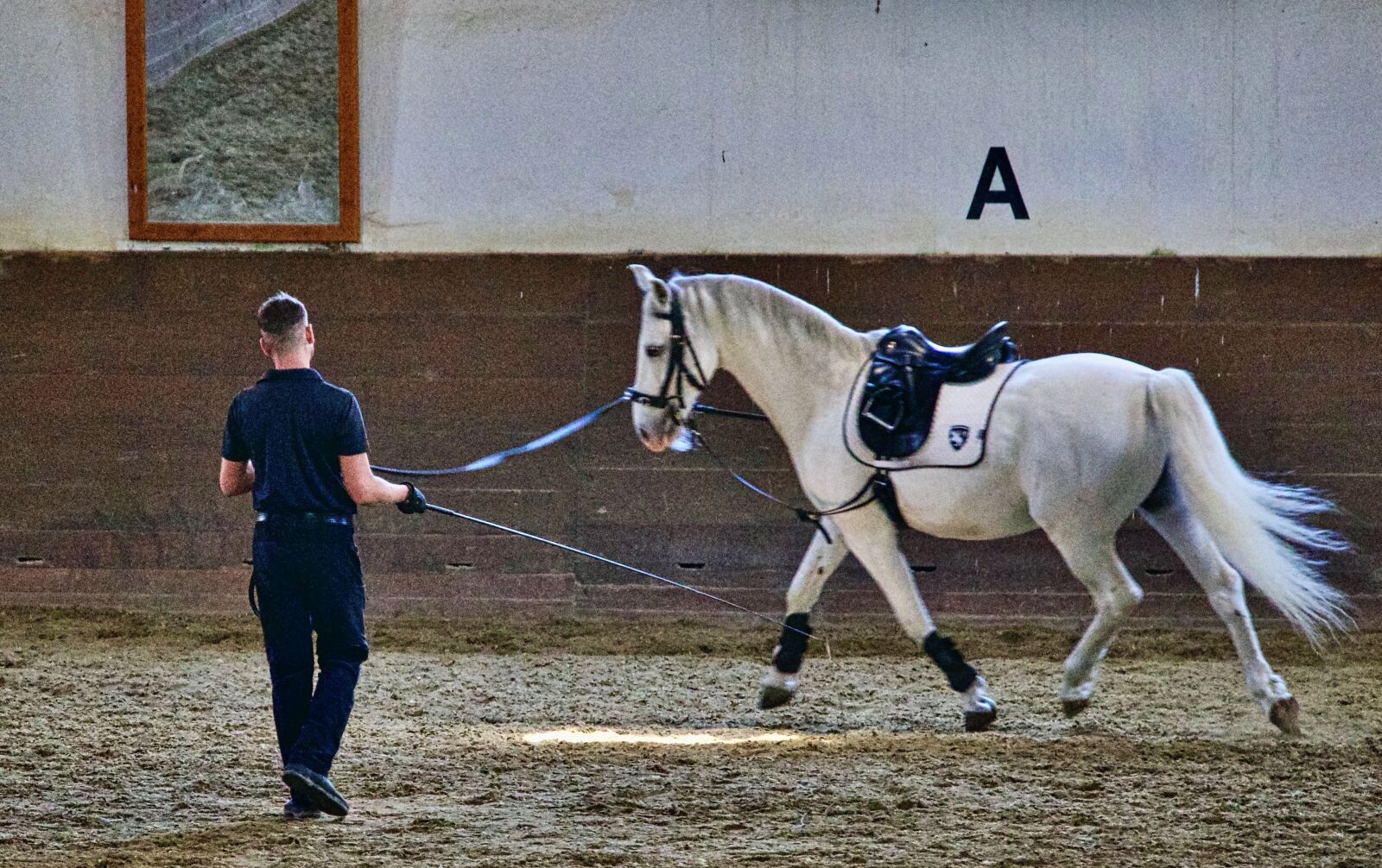 Sony a6500 sample photo. Equestrian, training, horse photography