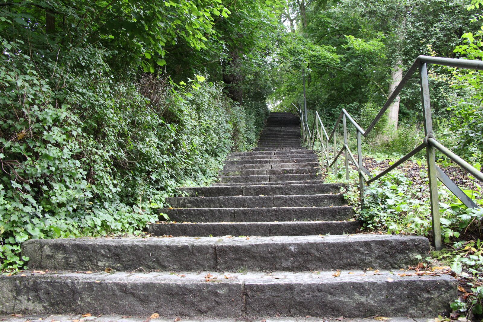 Canon EOS 650D (EOS Rebel T4i / EOS Kiss X6i) sample photo. Stairs, nature, gradually photography