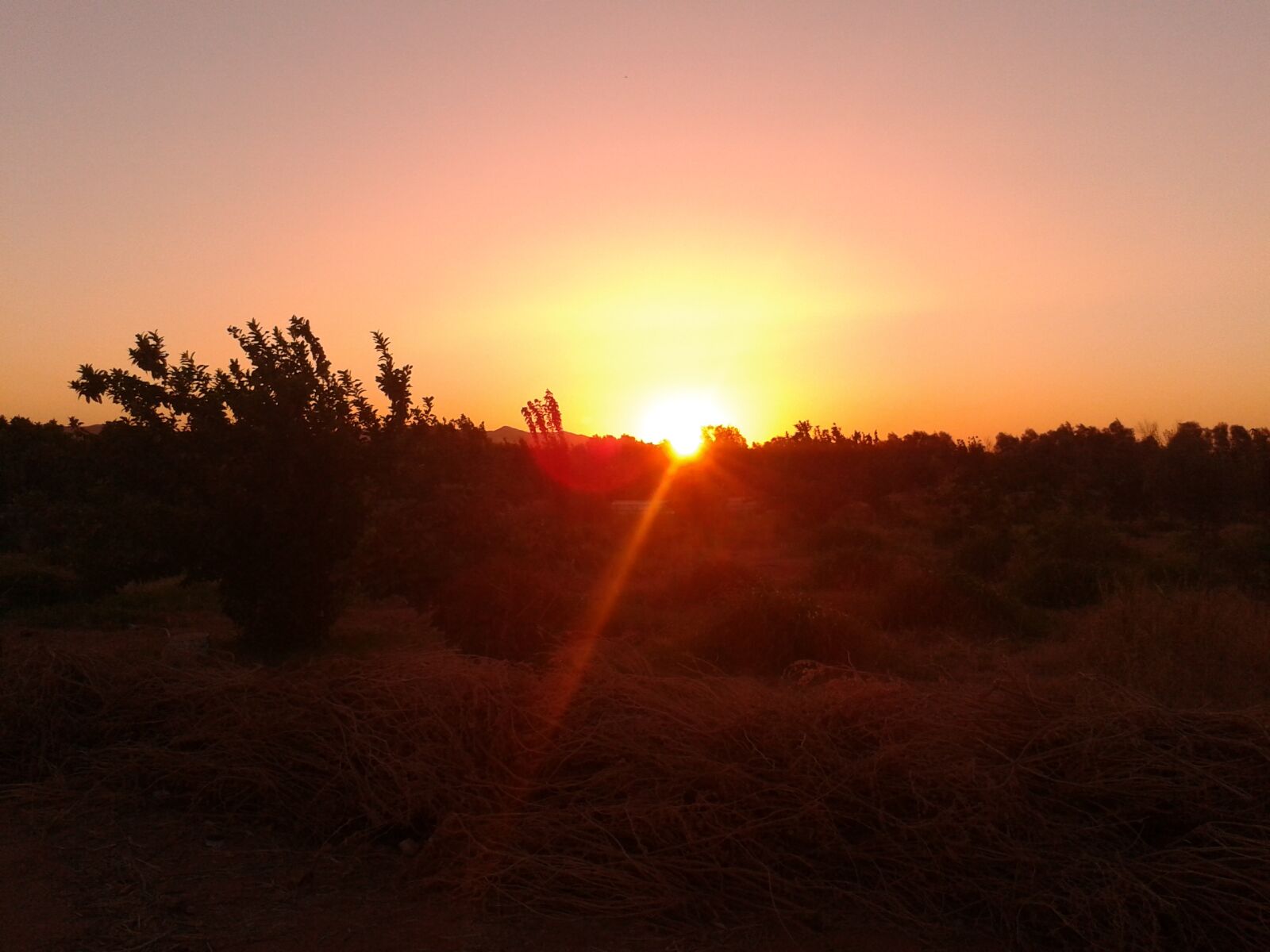 Samsung Galaxy S3 Mini sample photo. Sunset, sunrise, vista photography