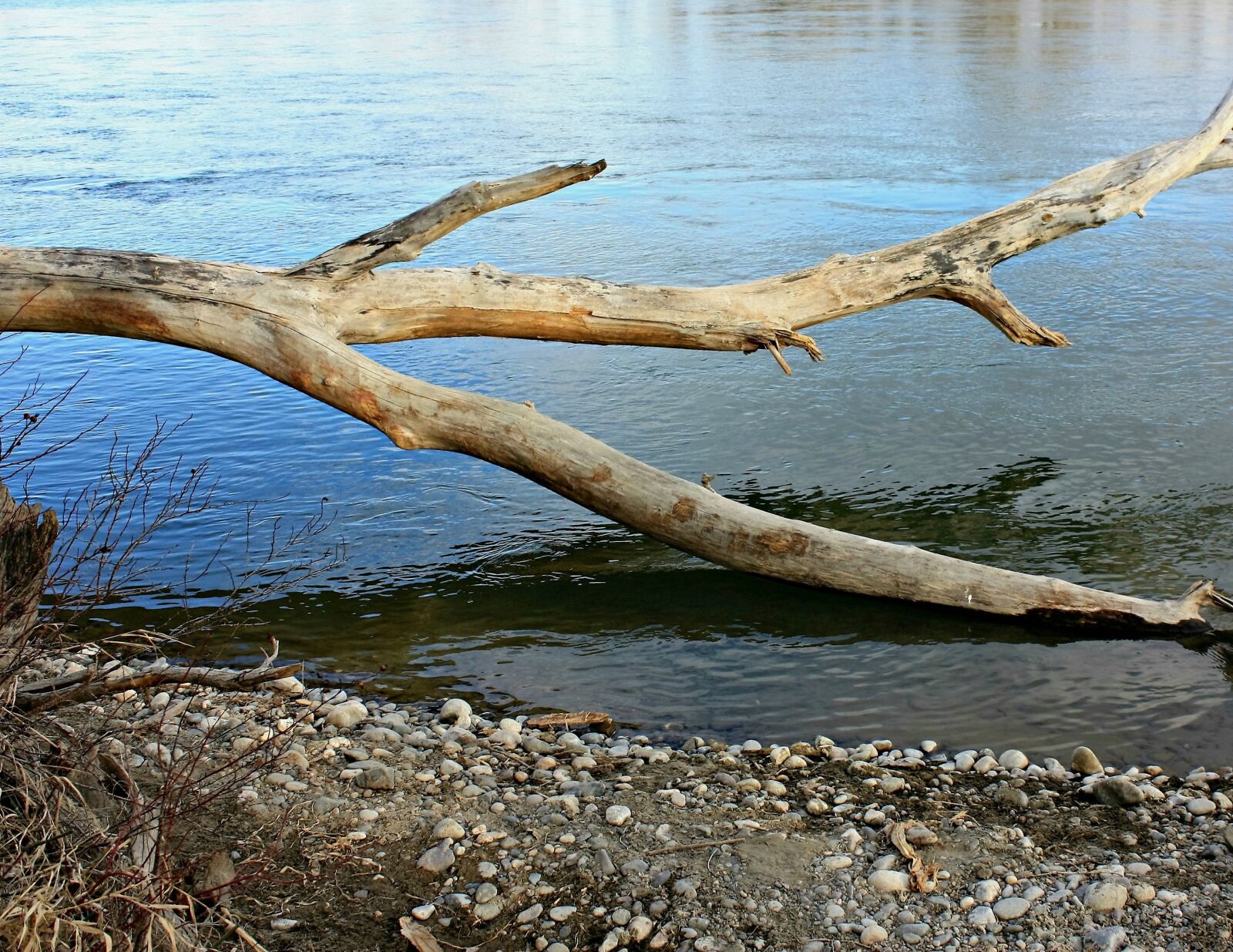 Canon EOS 450D (EOS Rebel XSi / EOS Kiss X2) + Canon EF-S 18-55mm F3.5-5.6 IS sample photo. Driftwood, log, river, tree photography