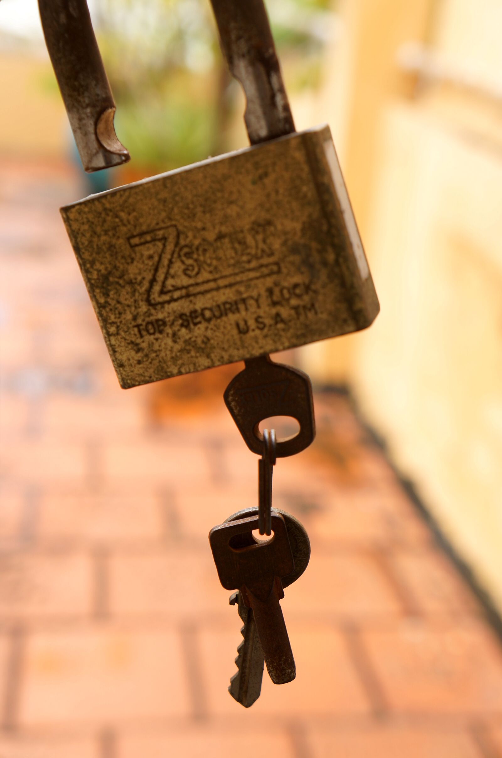 Sony Alpha NEX-F3 + Sony E 18-55mm F3.5-5.6 OSS sample photo. Locks, key, rust photography