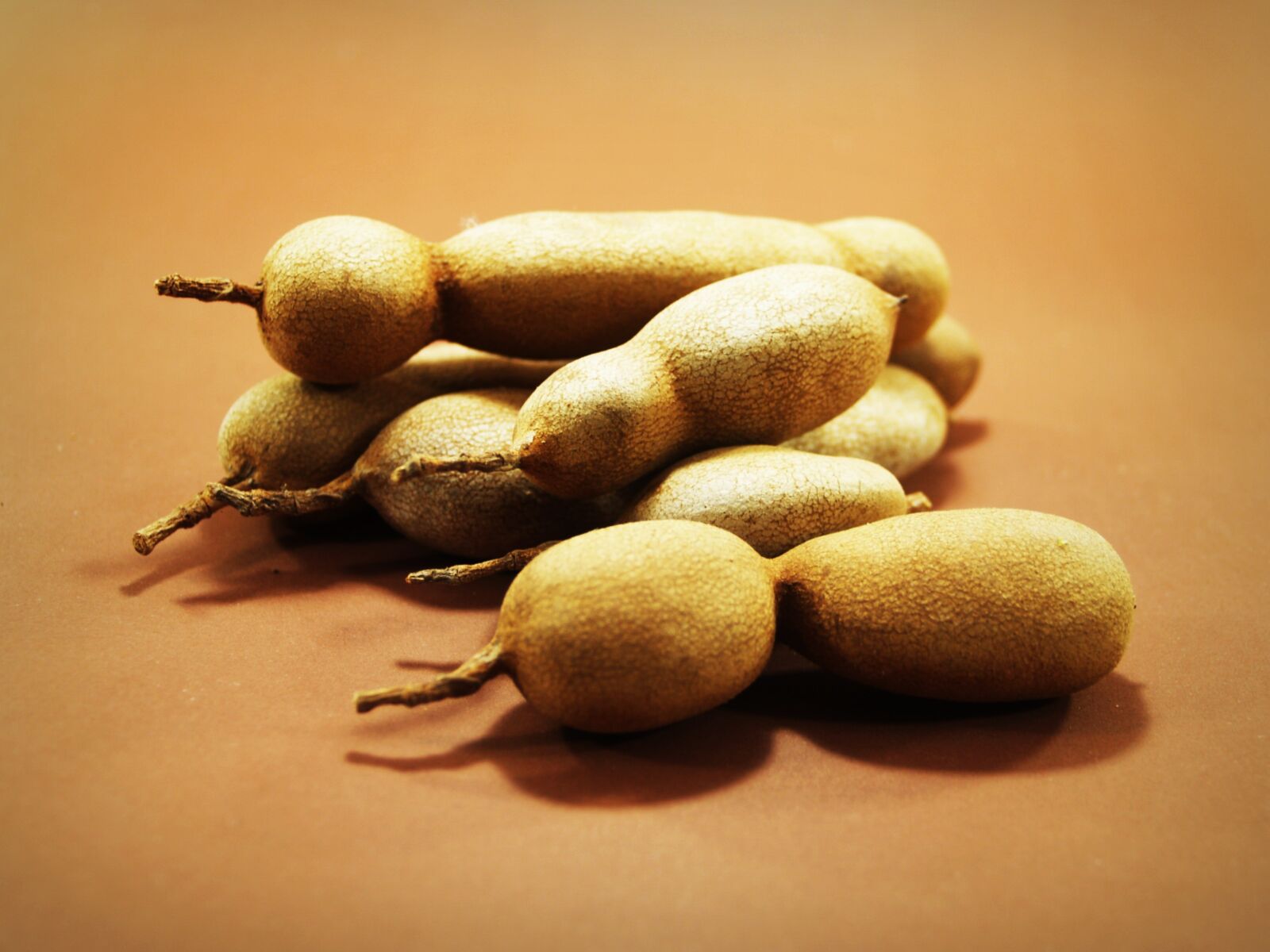 Olympus E-300 (EVOLT E-300) sample photo. Tamarind, isolated, ripe photography