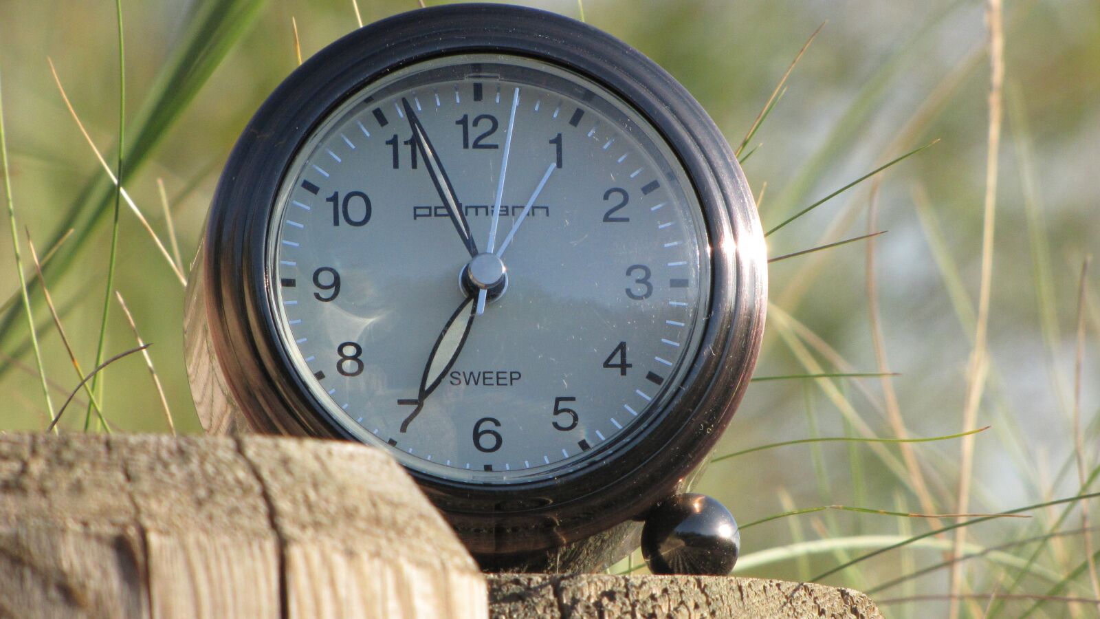 Canon PowerShot SX1 IS sample photo. Clock, time, nature photography