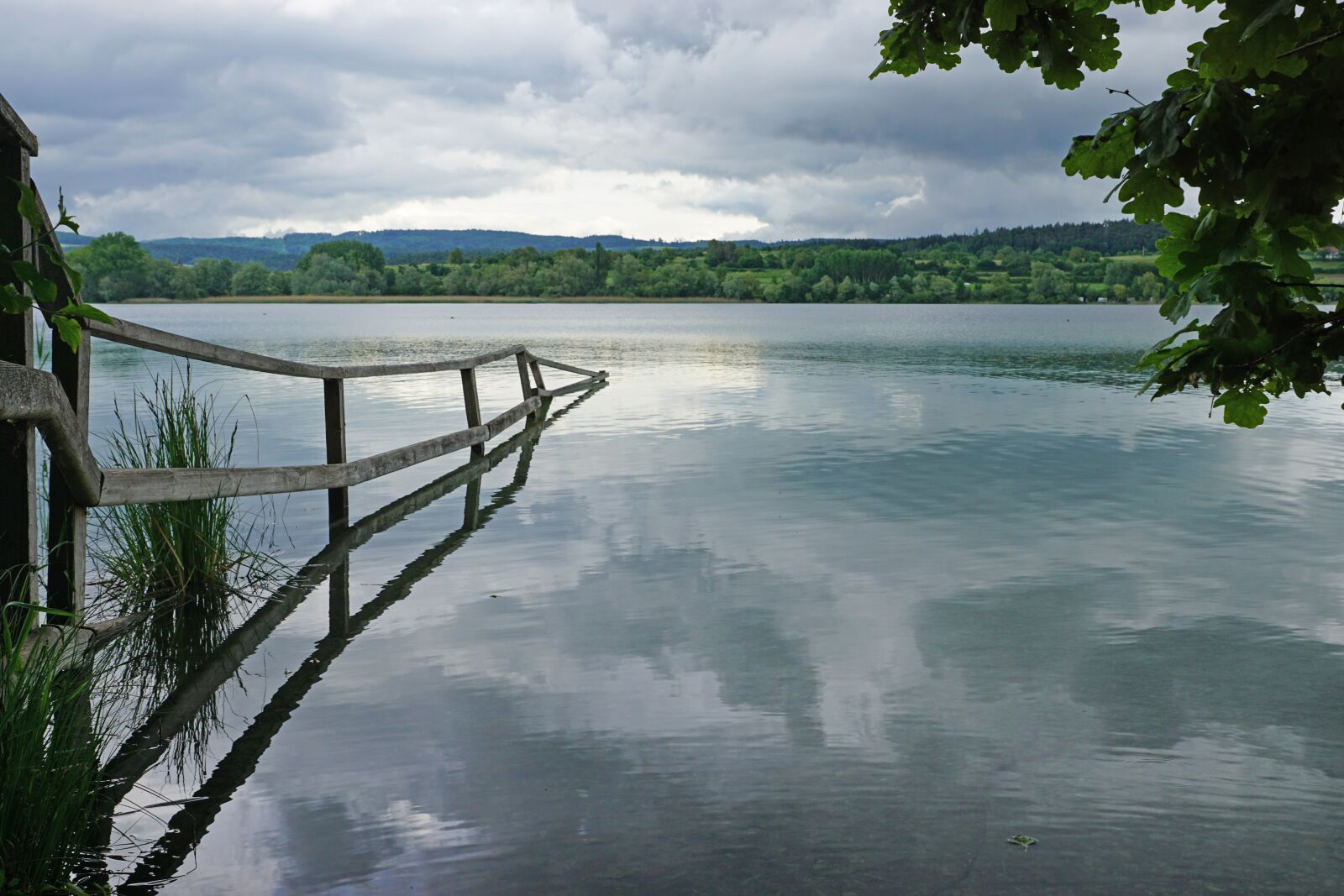 Sony ILCA-77M2 sample photo. Untersee, zellersee, lake constance photography