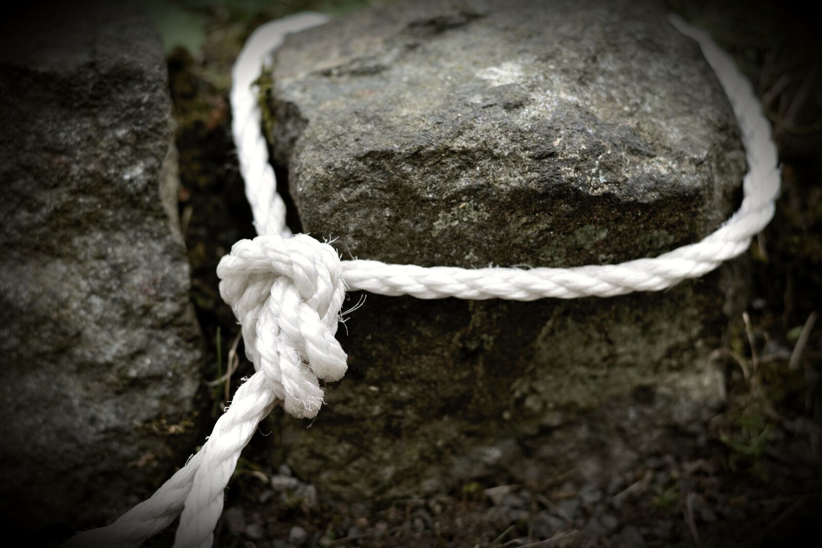 Nikon D5200 sample photo. Rope, dew, knot photography