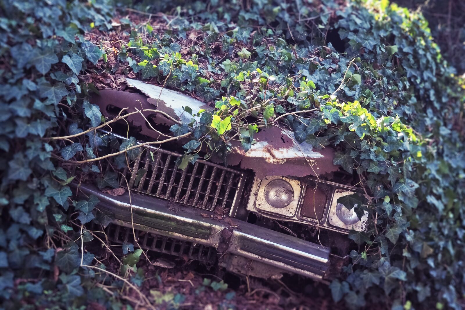 Olympus OM-D E-M10 sample photo. Auto, cadillac, old photography