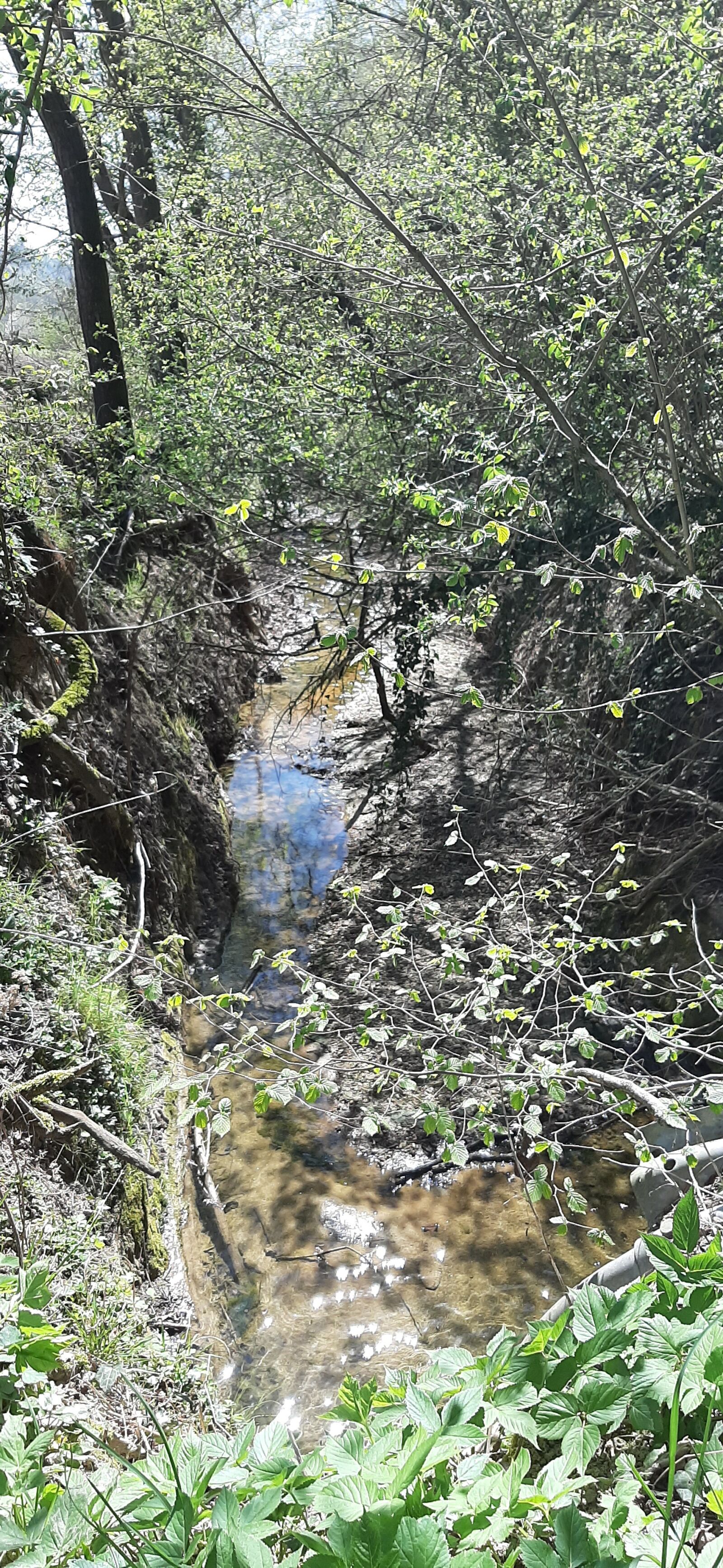Samsung Galaxy A50 sample photo. River, nature, water photography