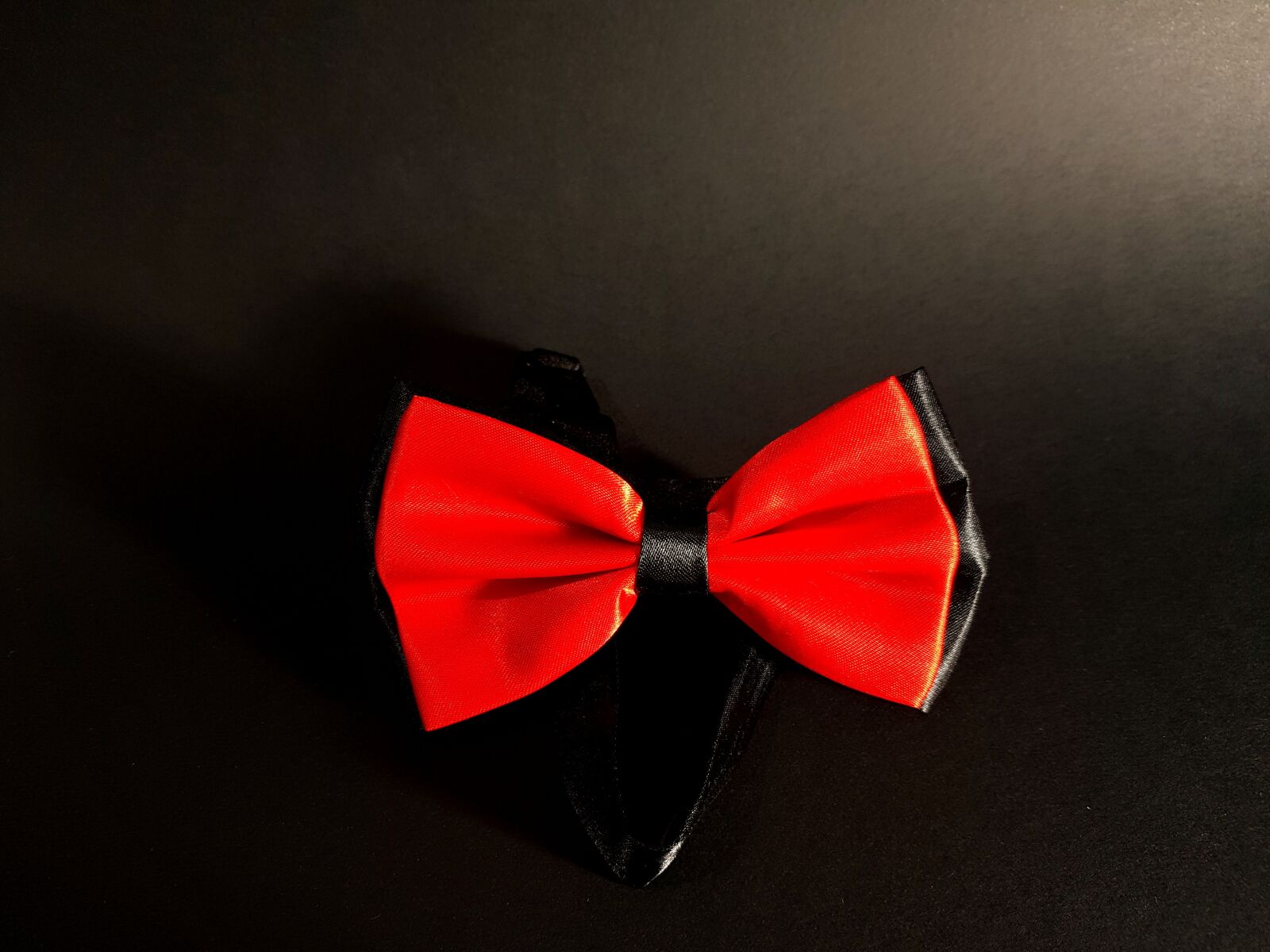 Samsung Galaxy S8 sample photo. Papillon, red, clothing photography