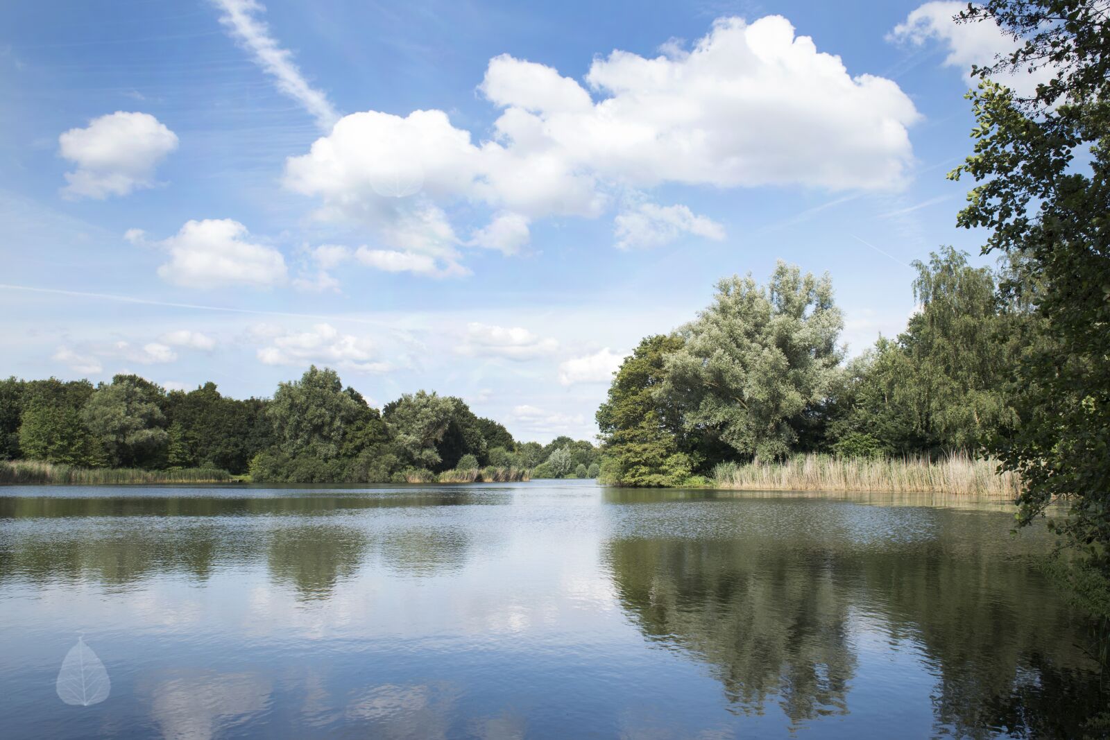 Nikon D750 sample photo. Pond, water, clouds photography
