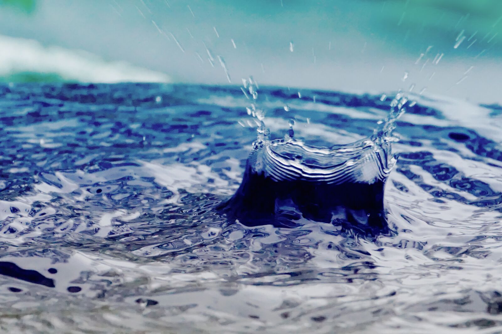 Sony Alpha a5000 (ILCE 5000) sample photo. Rain barrel, water, drip photography
