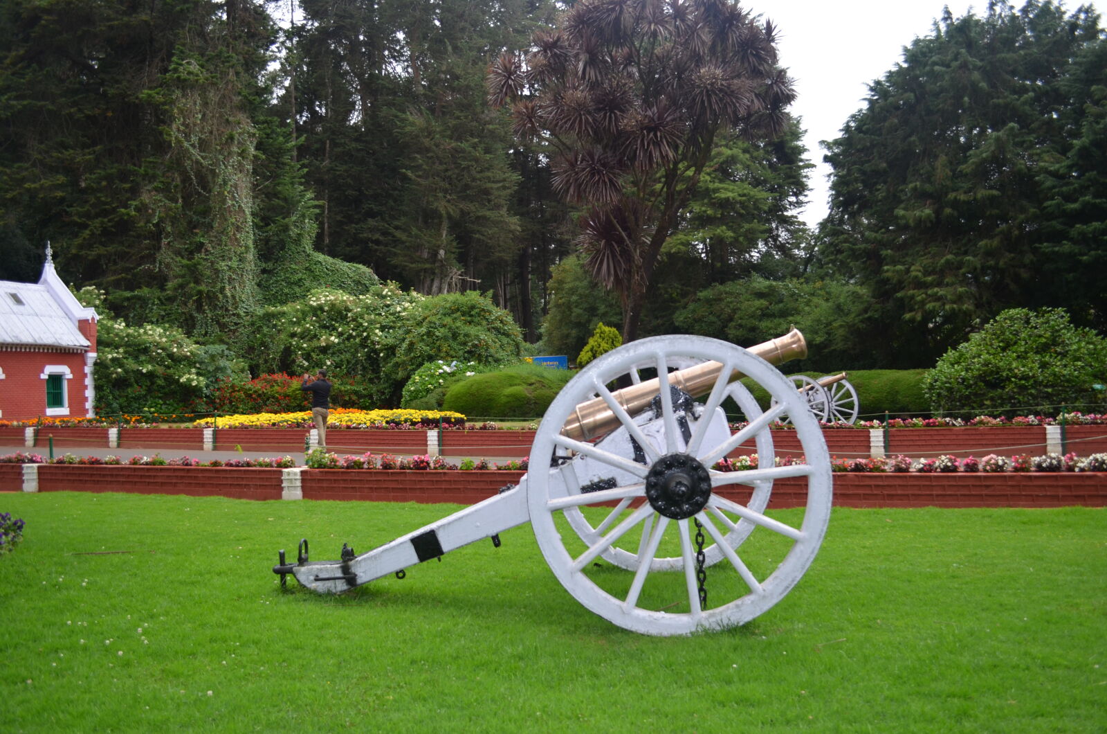 Nikon D5100 sample photo. Garden, green, india, ooty photography