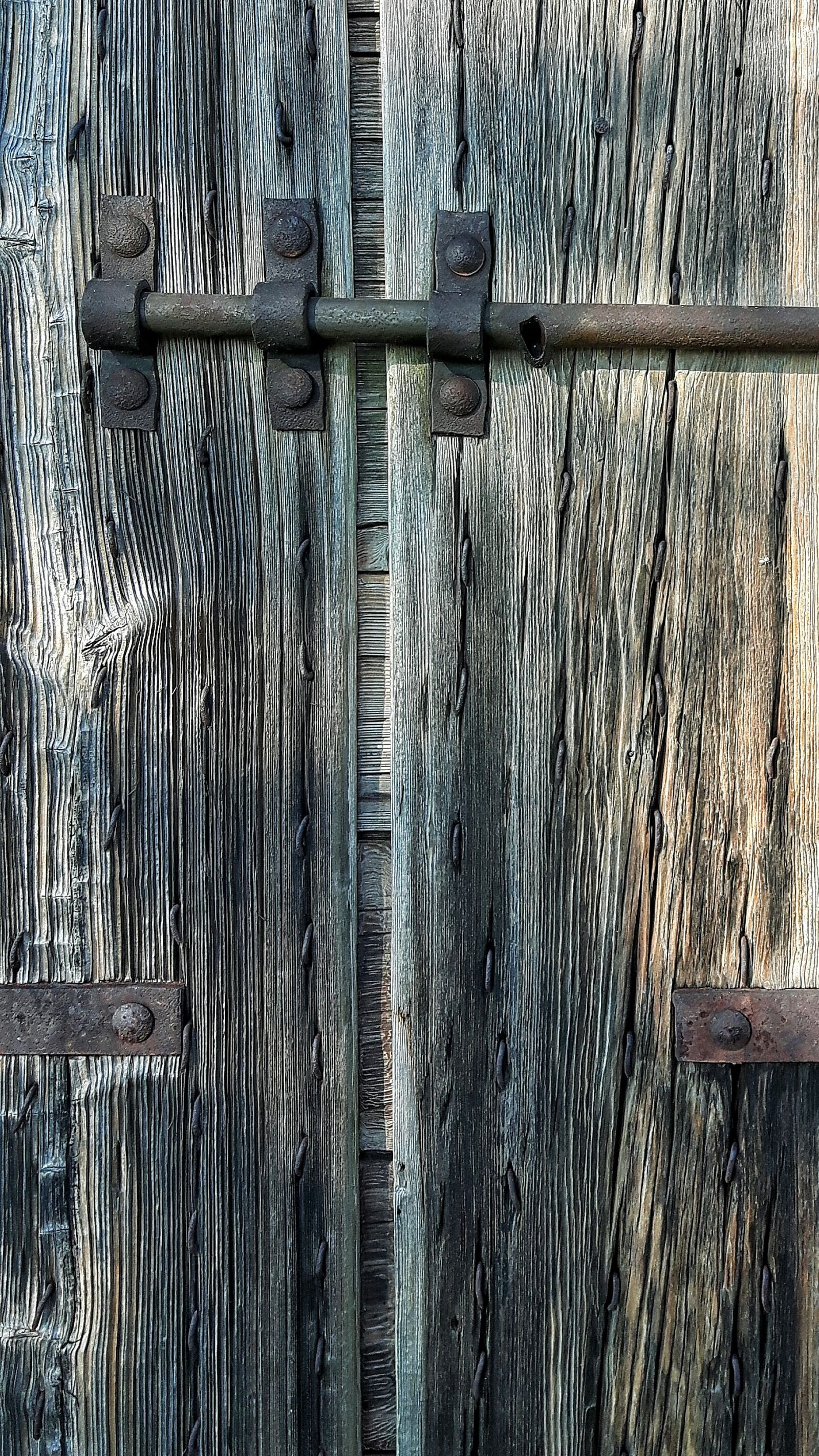 Samsung Galaxy S5 Neo sample photo. Wood, texture, plant photography