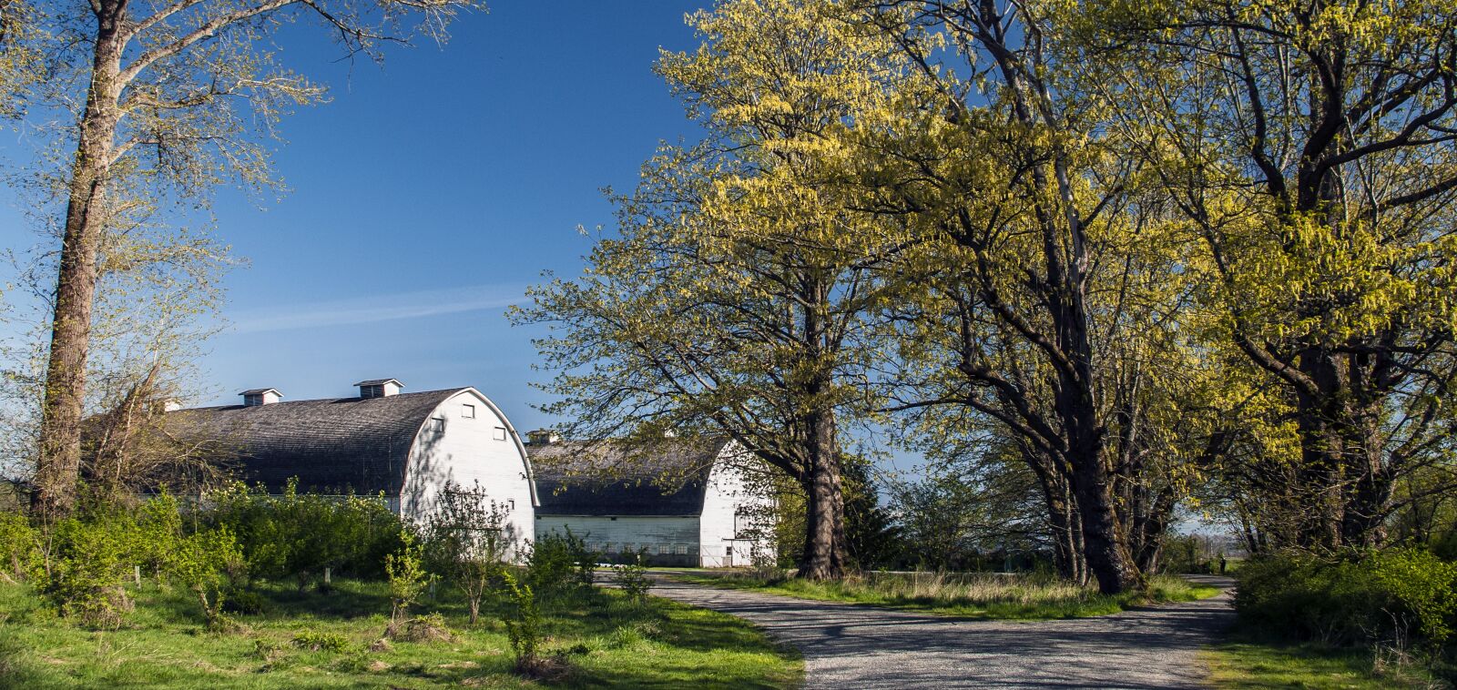 Nikon D80 sample photo. Twin milking barns, barns photography