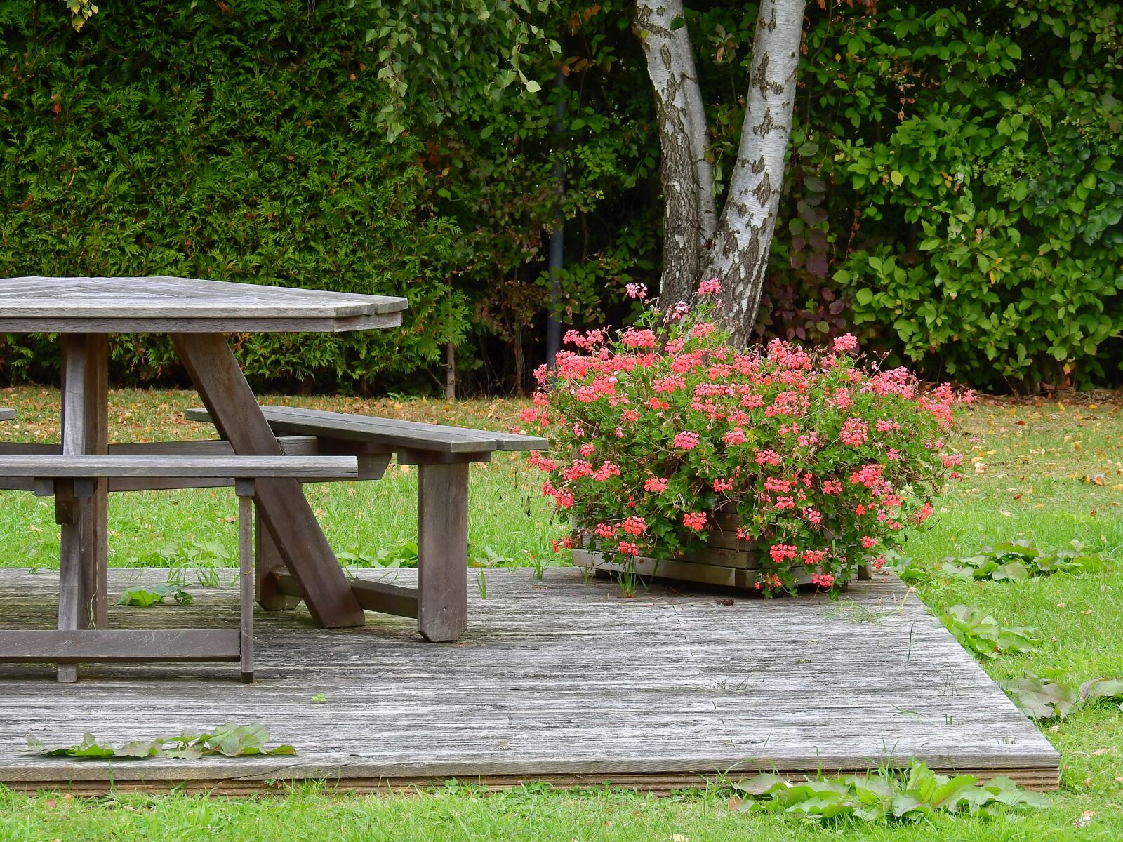 Nikon Coolpix P900 sample photo. Table, flowers, resting place photography