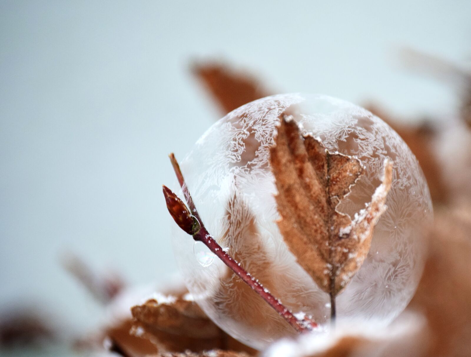 Nikon D3300 sample photo. Bubble, soap bubble, frozen photography