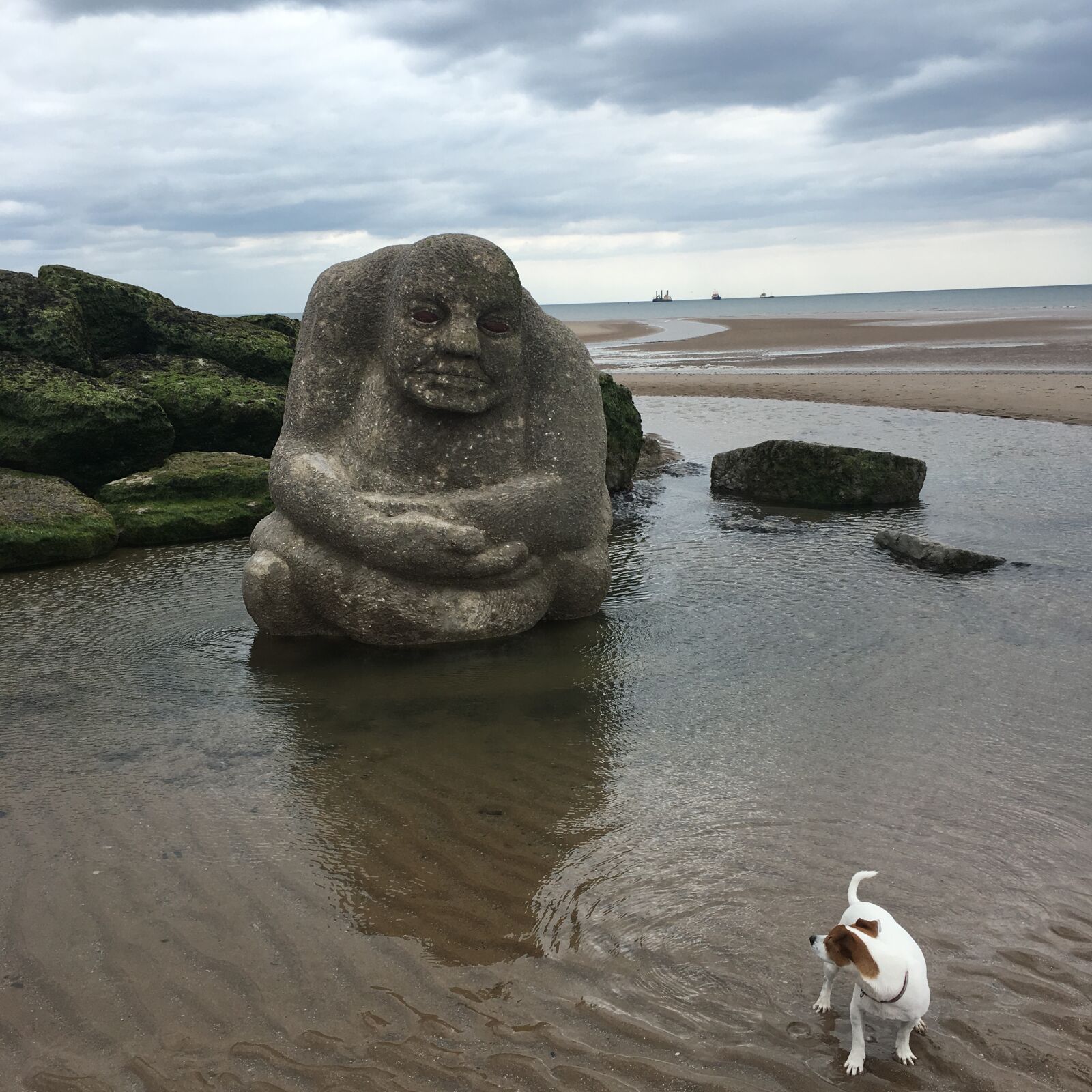 Apple iPhone 6s sample photo. Watching, dog, beach photography