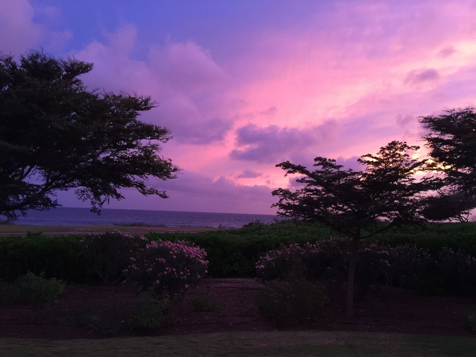 iPhone 6 Plus back camera 4.15mm f/2.2 sample photo. Evening sky, caribbean, mood photography