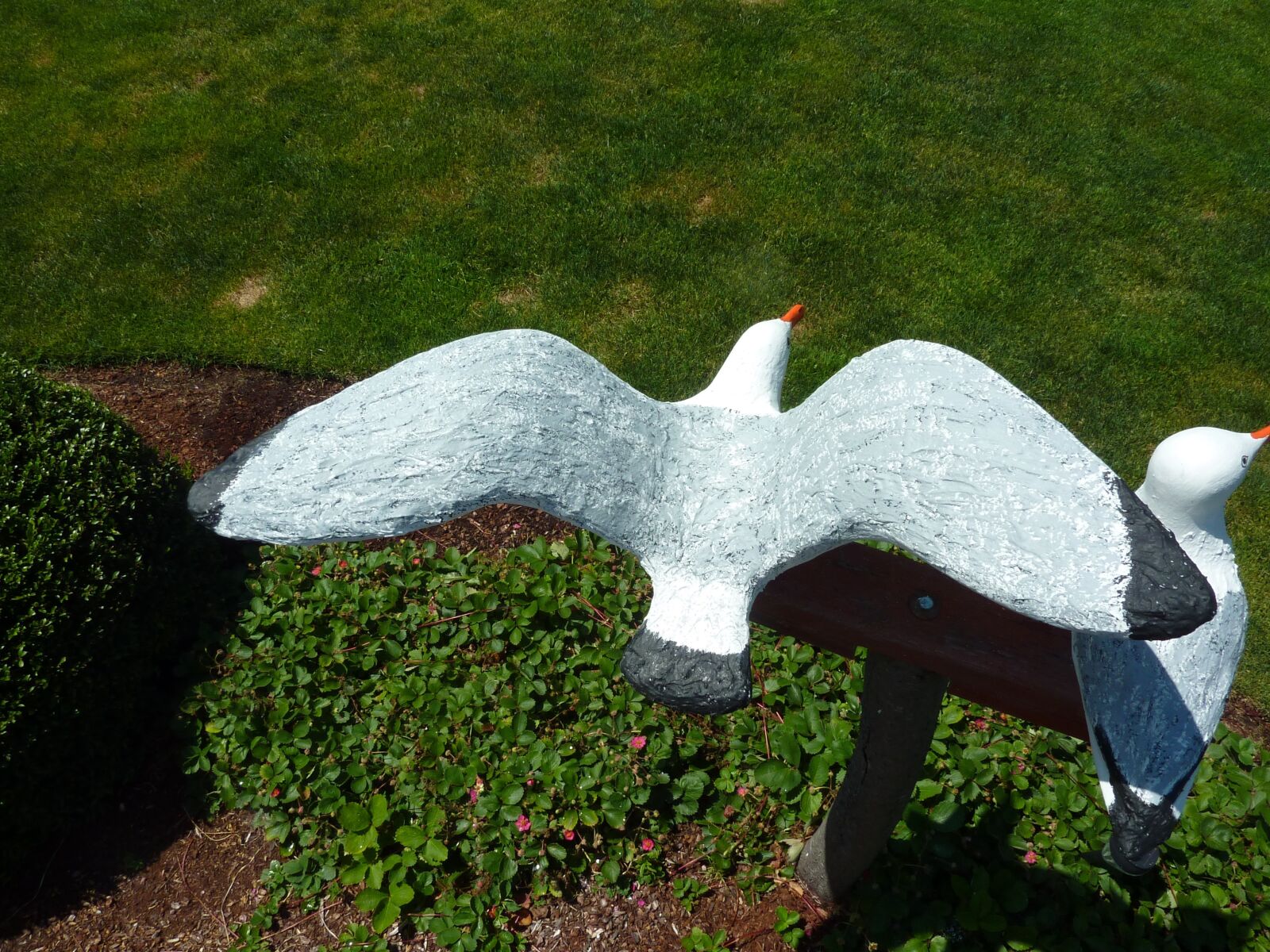 Panasonic DMC-ZS3 sample photo. Seagulls, yard ornament, birds photography