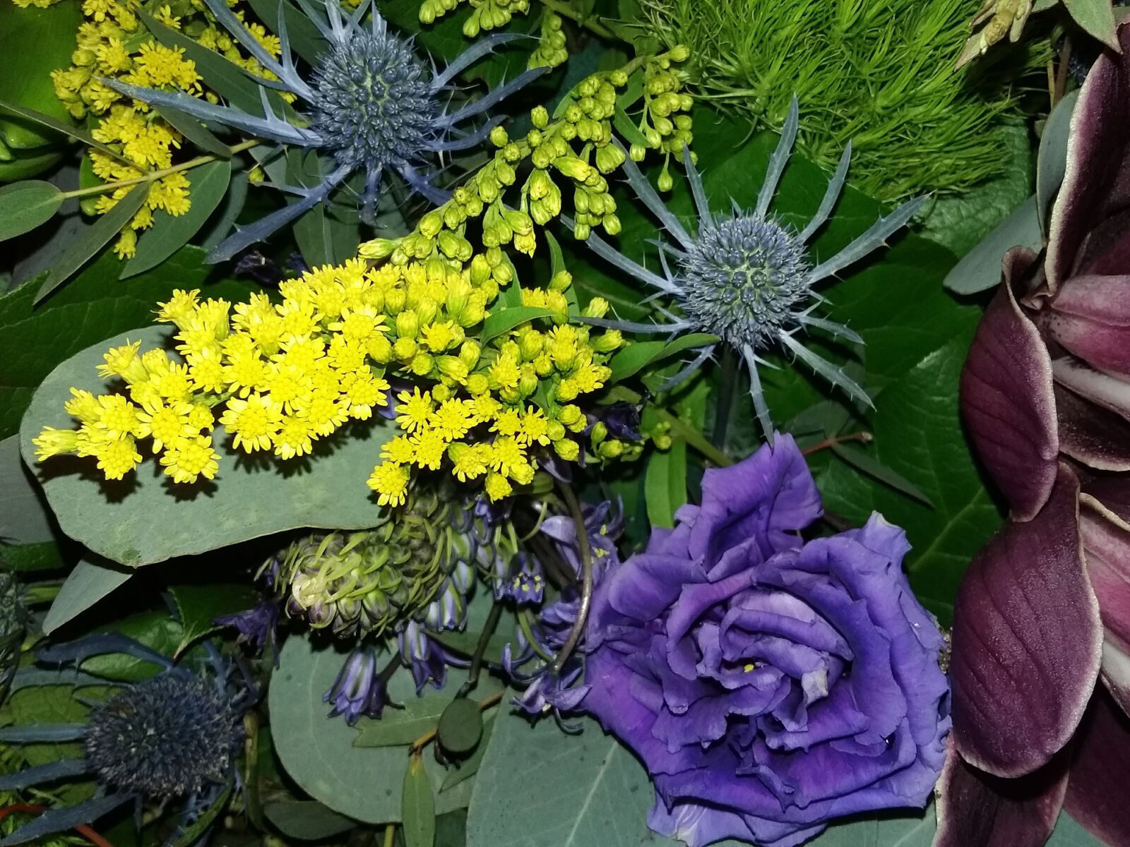 Samsung Galaxy J3(2016) sample photo