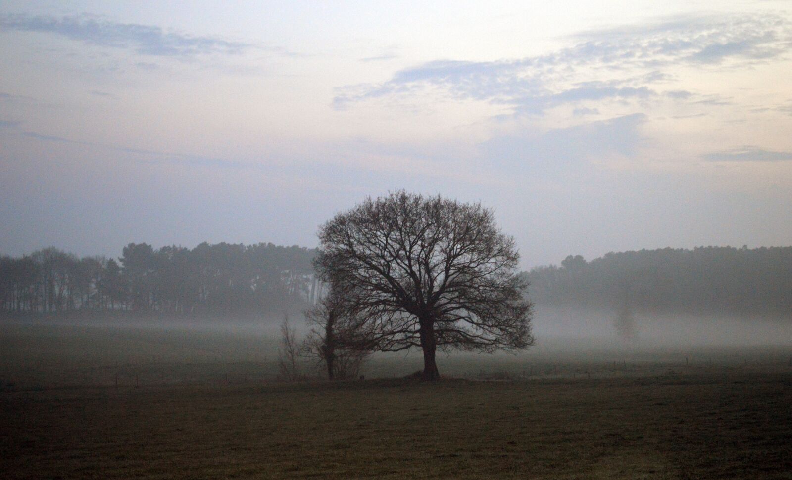 Nikon D3200 sample photo. Landscape, field, nature photography