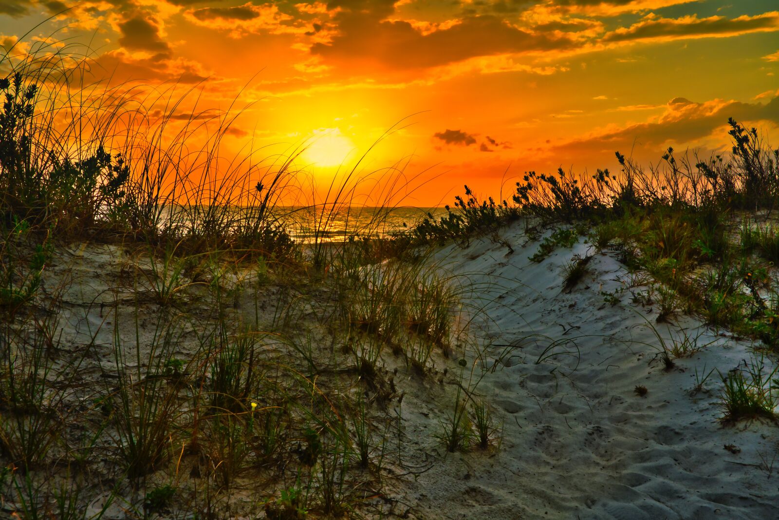 Nikon D850 sample photo. Gulf, beach, sand photography