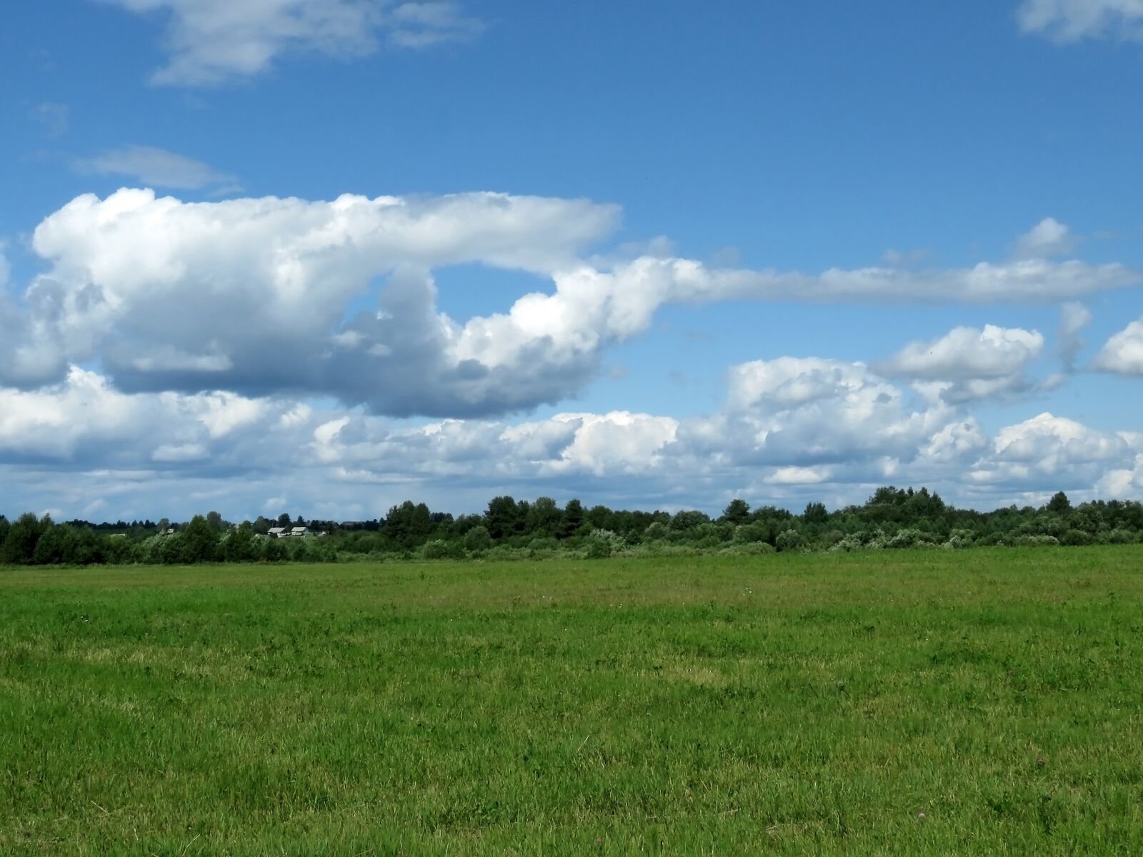 Canon PowerShot SX60 HS sample photo. Field, meadow, sky photography