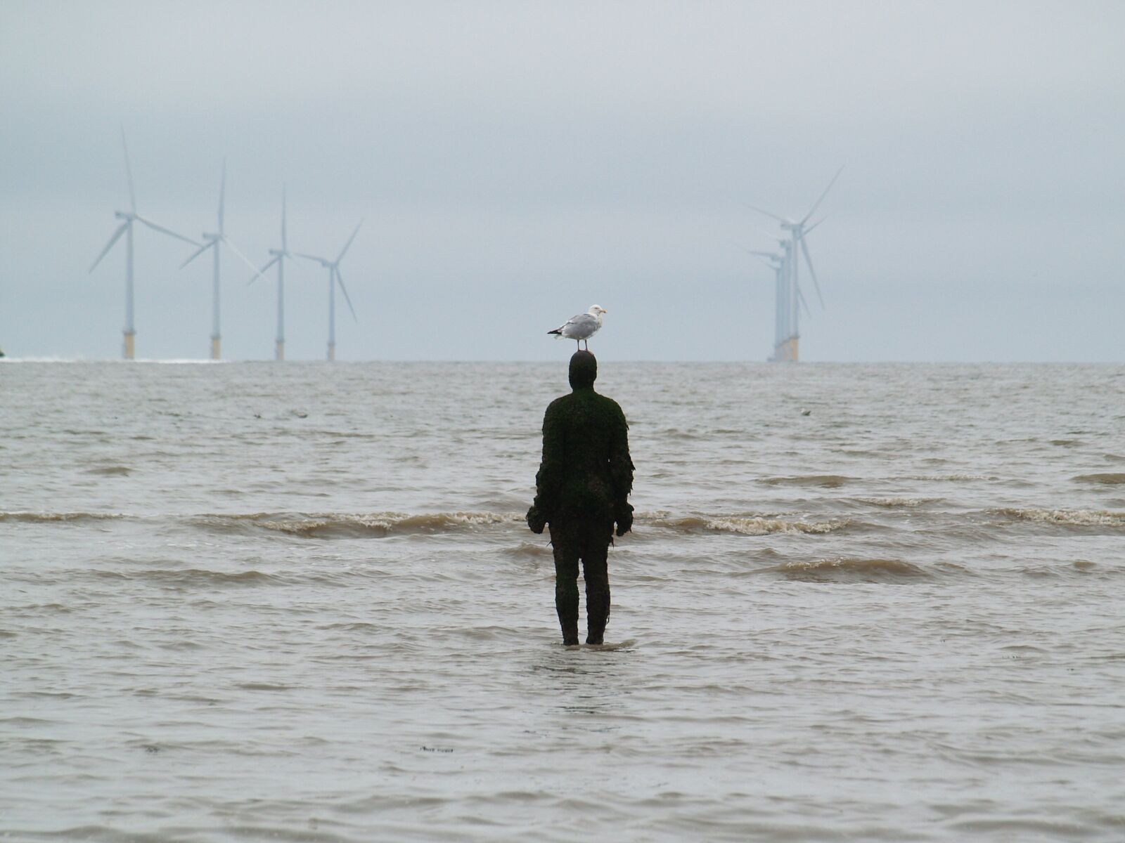 Olympus E-500 (EVOLT E-500) sample photo. Crosby, another place, gormley photography