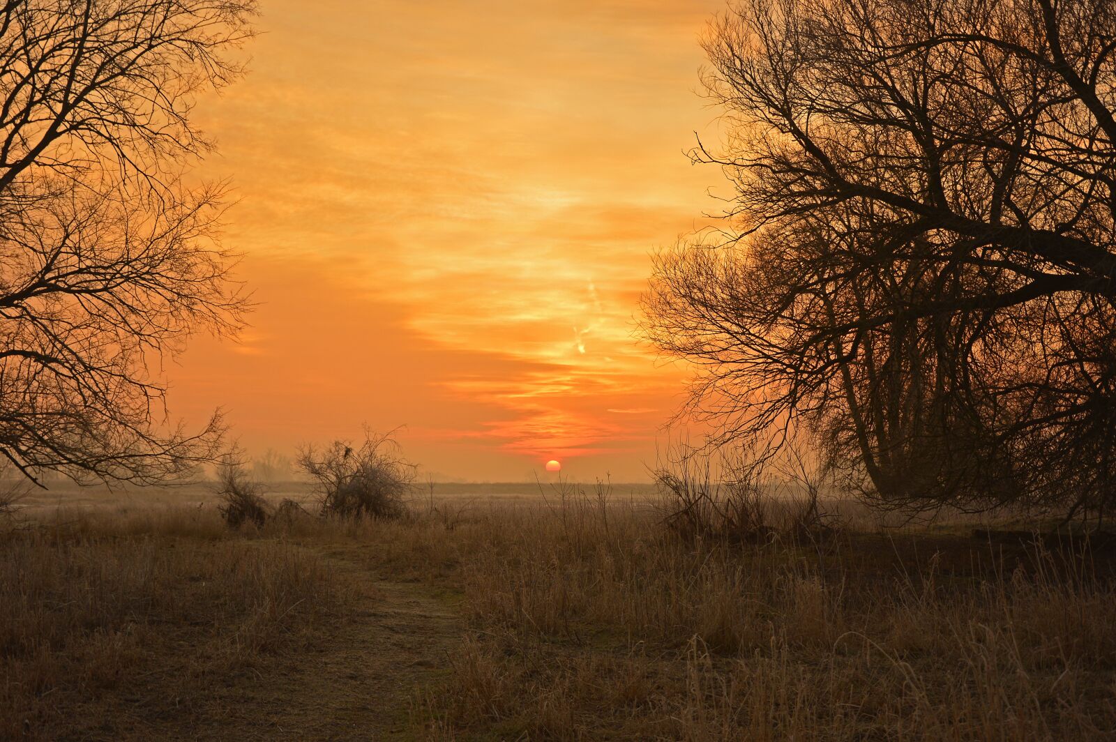 Nikon D3200 sample photo. Sunrise, morgenrot, morgenstimmung photography
