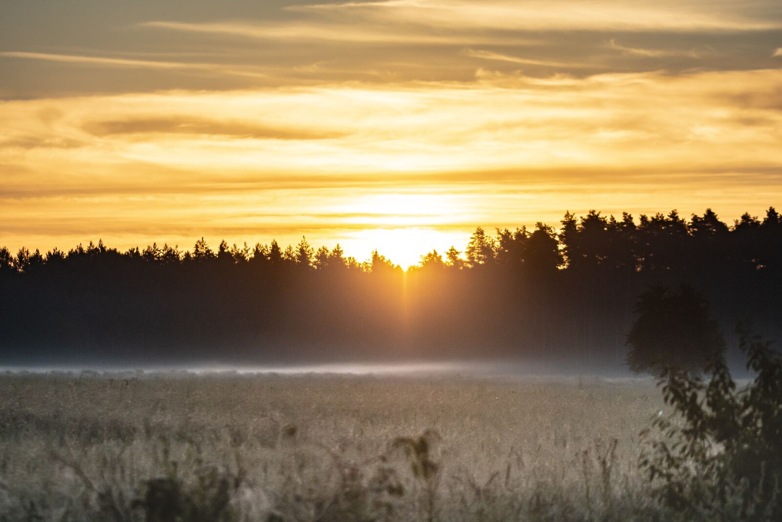 Nikon D7100 sample photo. Morning, east, sun photography