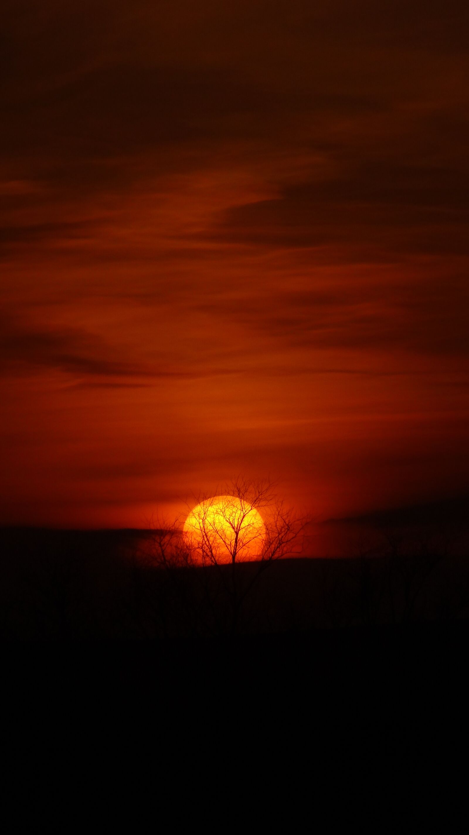Sony DSC-HX10 sample photo. Sunset, sun, evening photography