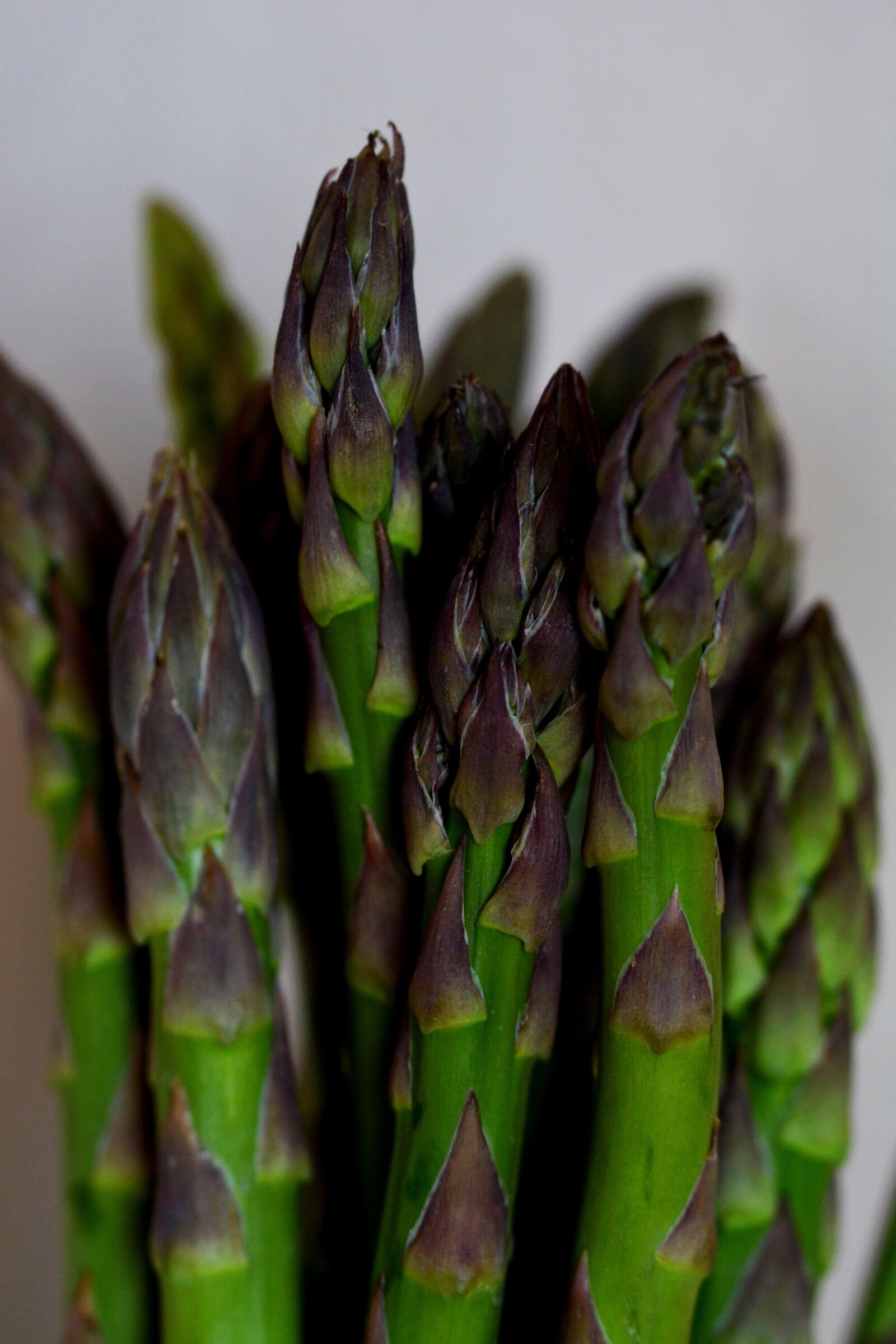 Nikon D5200 sample photo. Asparagus, green, vegetables photography