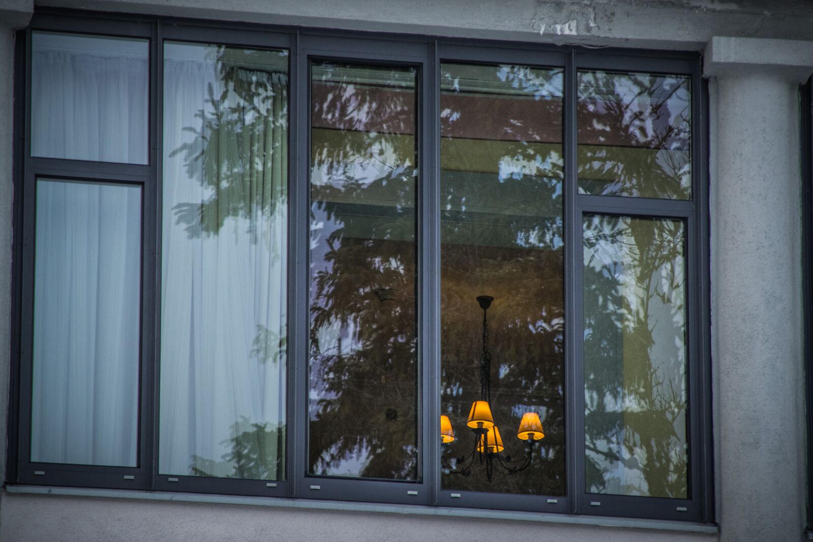Nikon D5300 sample photo. Window, reflection, glass photography