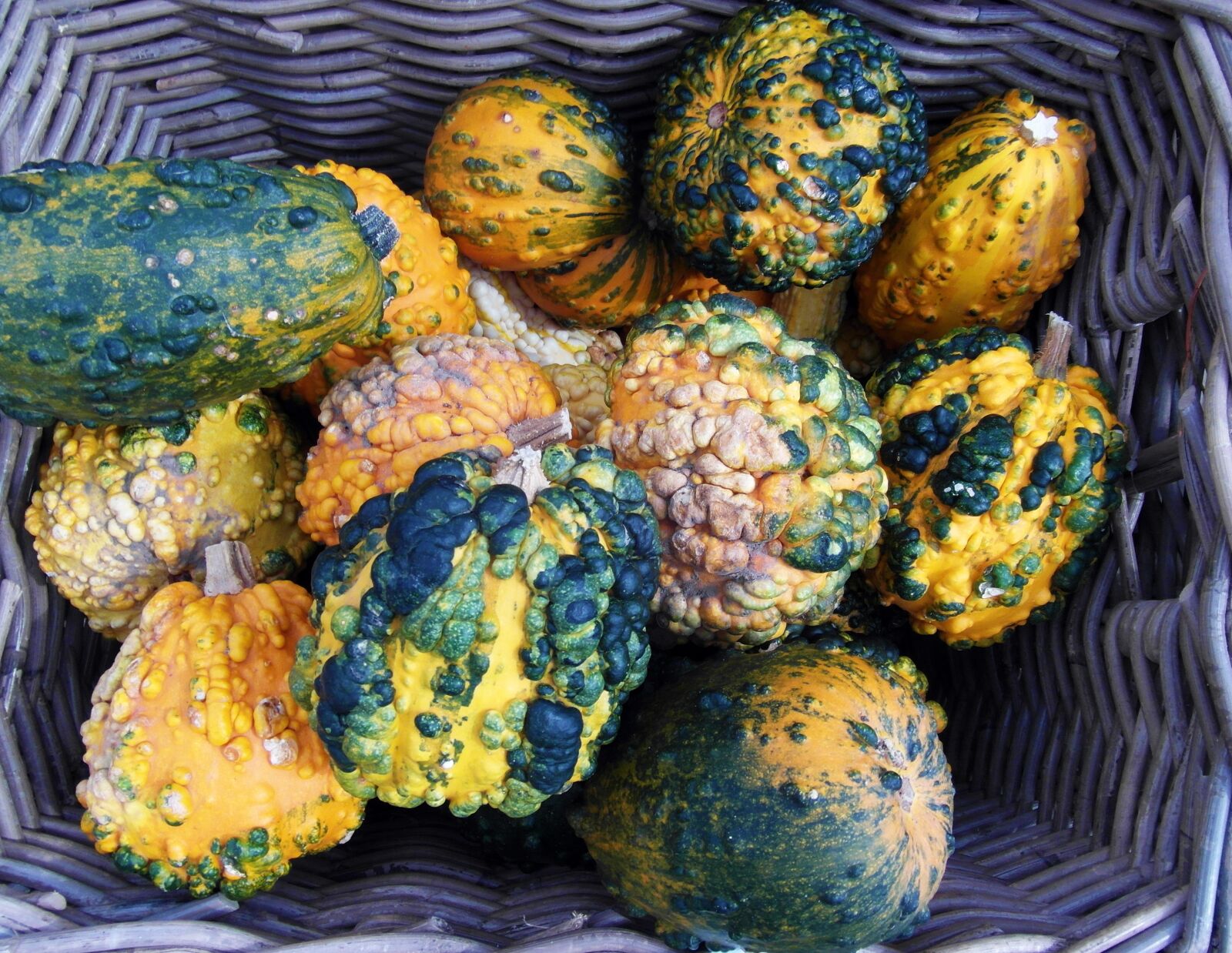 Samsung WB750 sample photo. Decorative squashes, pumpkins, colorful photography