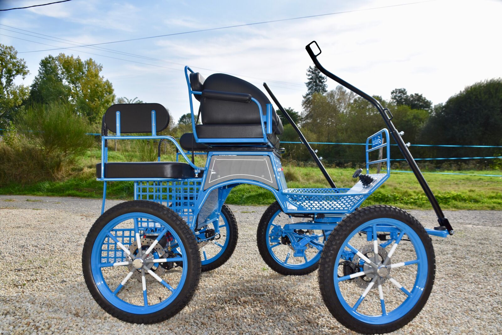 Nikon D5600 sample photo. Carriage, walks, pony hitch photography