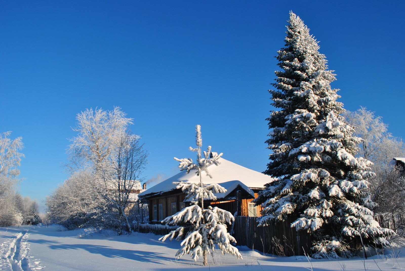 Nikon D3000 sample photo. Winter, village, snow photography