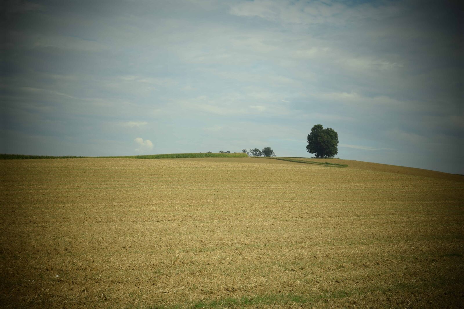 Nikon D3300 sample photo. Sky, sunset, landscape, field photography