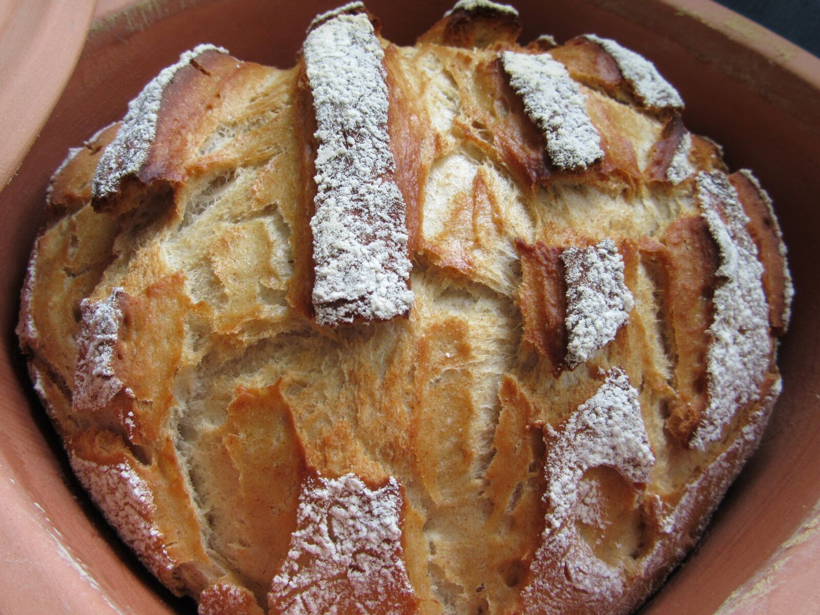 Canon PowerShot SX610 HS sample photo. Bread, bake, baker photography