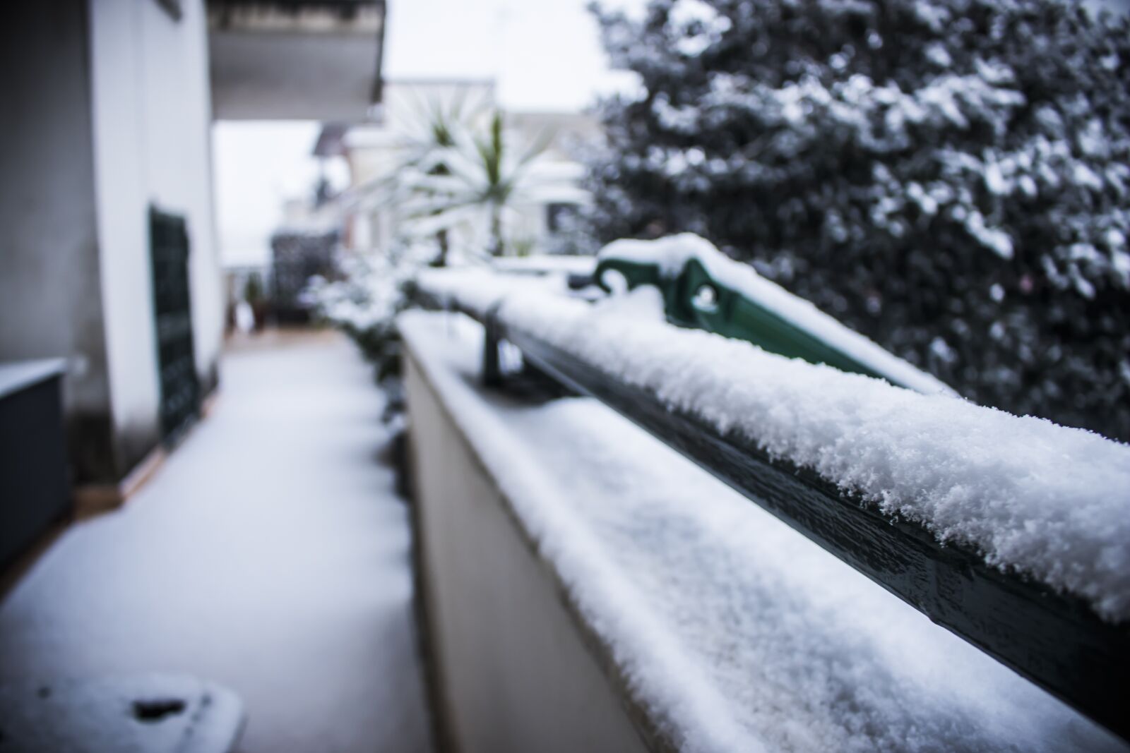 Canon EOS 80D sample photo. Snow, winter, christmas photography