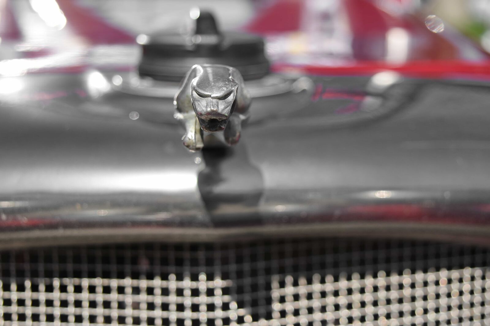 Nikon D5500 sample photo. Metallic, symbol, grille, car photography