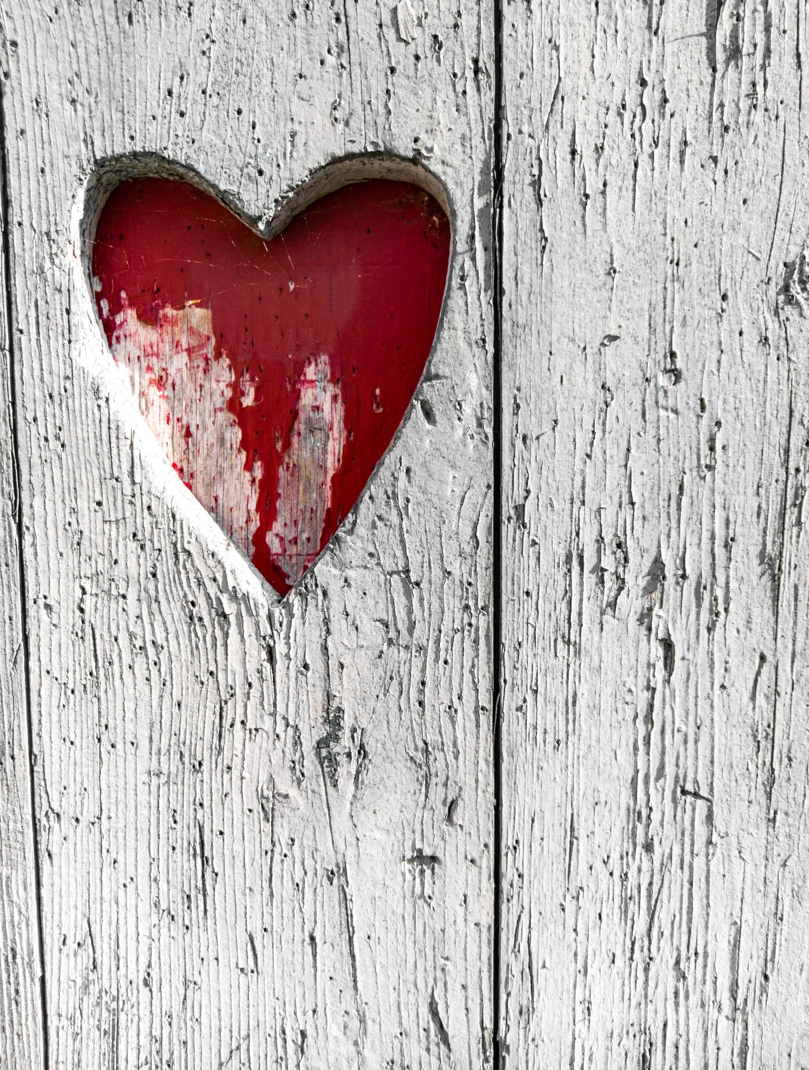 Canon EOS 5D Mark IV sample photo. Wood, heart, texture photography