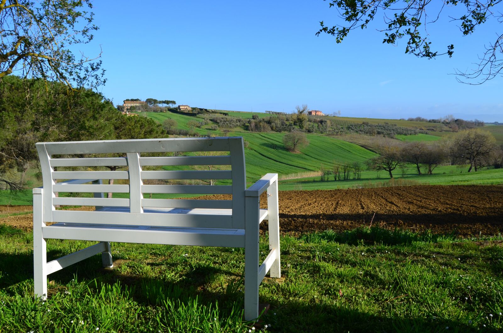 Nikon D5100 sample photo. Nature, bench, spring photography