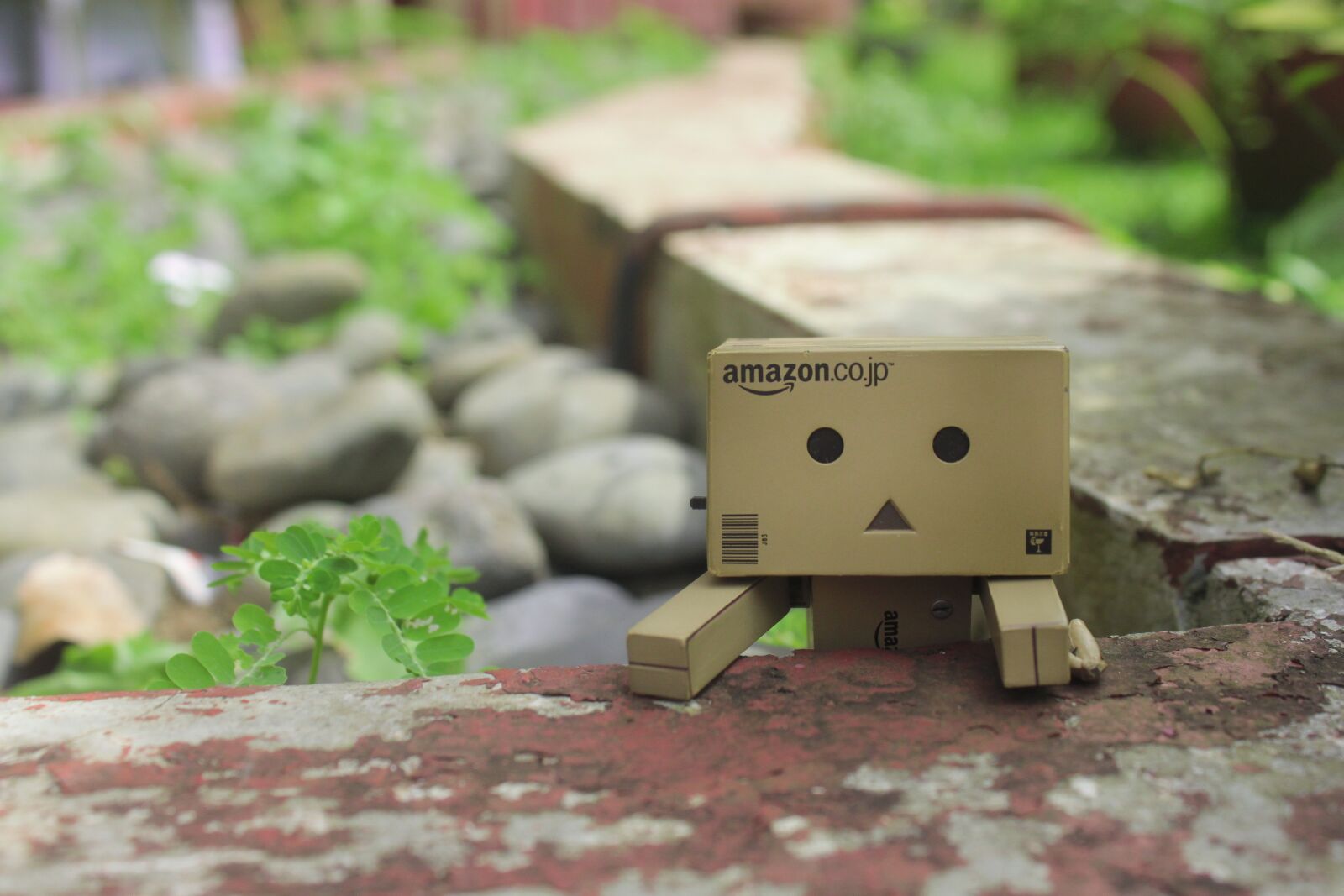 Canon EOS 500D (EOS Rebel T1i / EOS Kiss X3) sample photo. Looking, playful, danbo photography