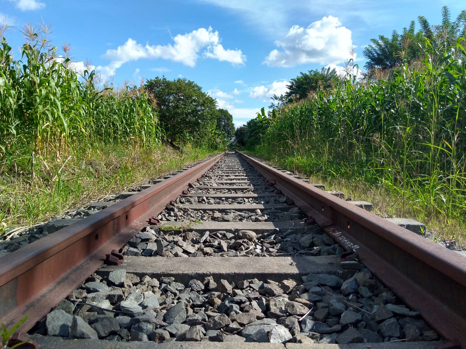 Motorola Moto G Play sample photo. Train, rails, railway photography
