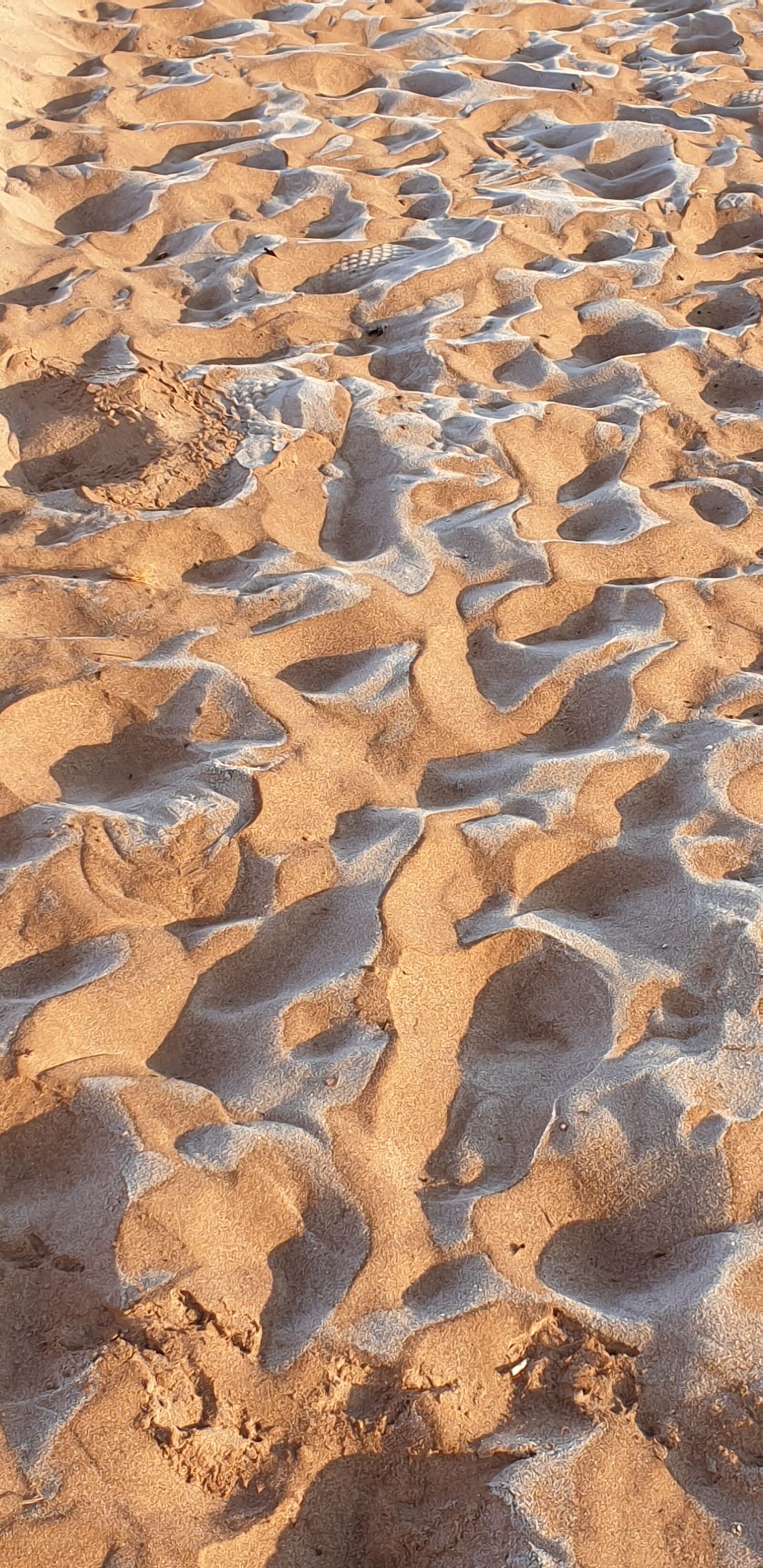 Samsung Galaxy S9 sample photo. Frost, winter, beach photography