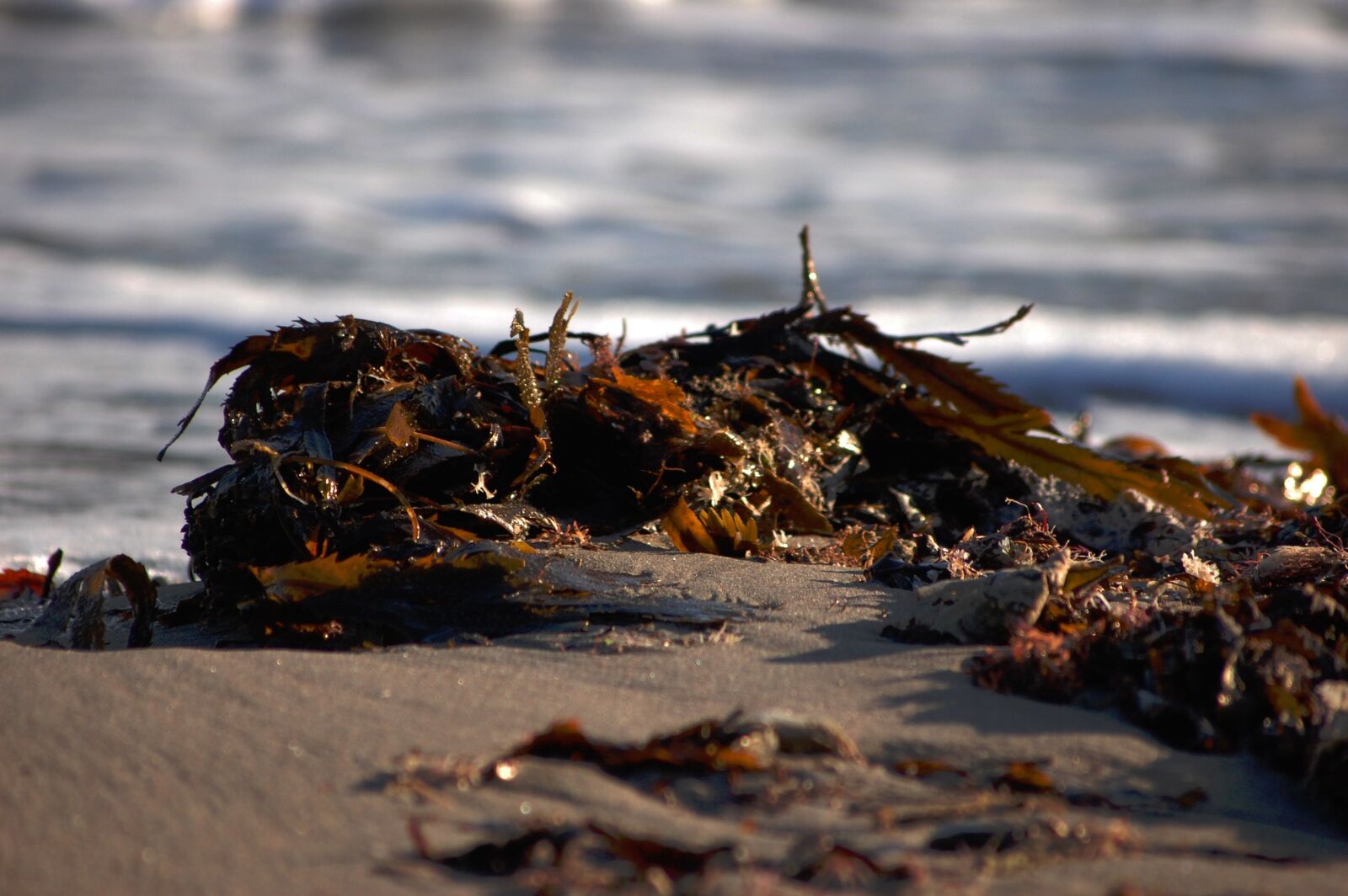 Nikon D40 sample photo. Shore, seaside, coastline photography