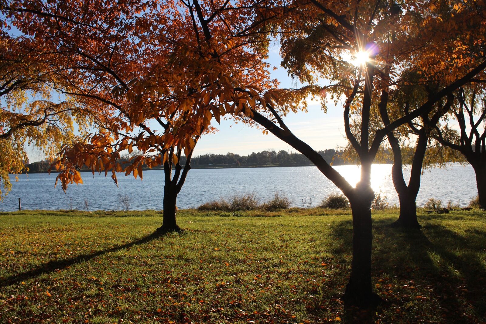 Canon EOS 600D (Rebel EOS T3i / EOS Kiss X5) sample photo. Washington dc, washington, d photography