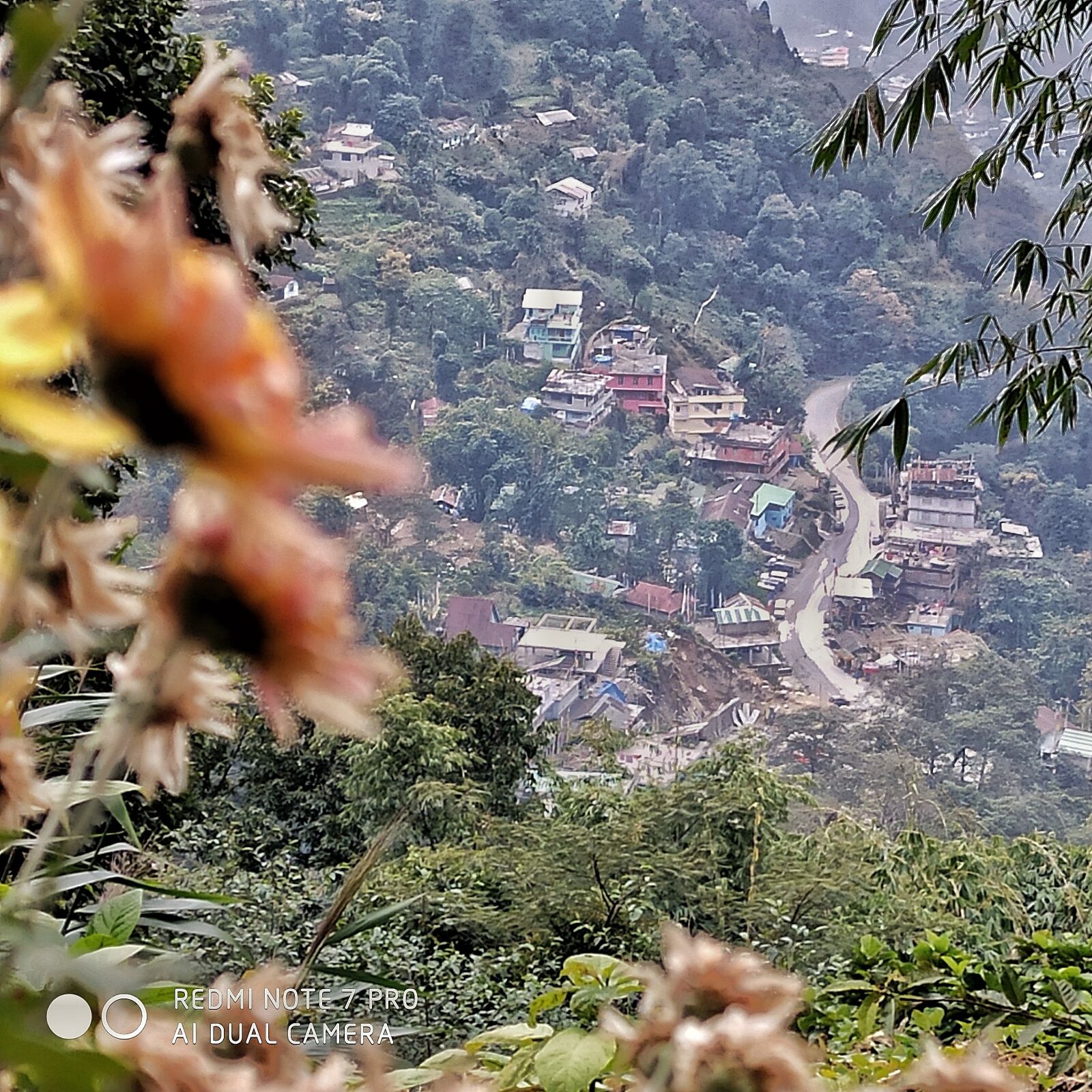 Xiaomi Redmi Note 7 Pro sample photo. Village, flower, road photography