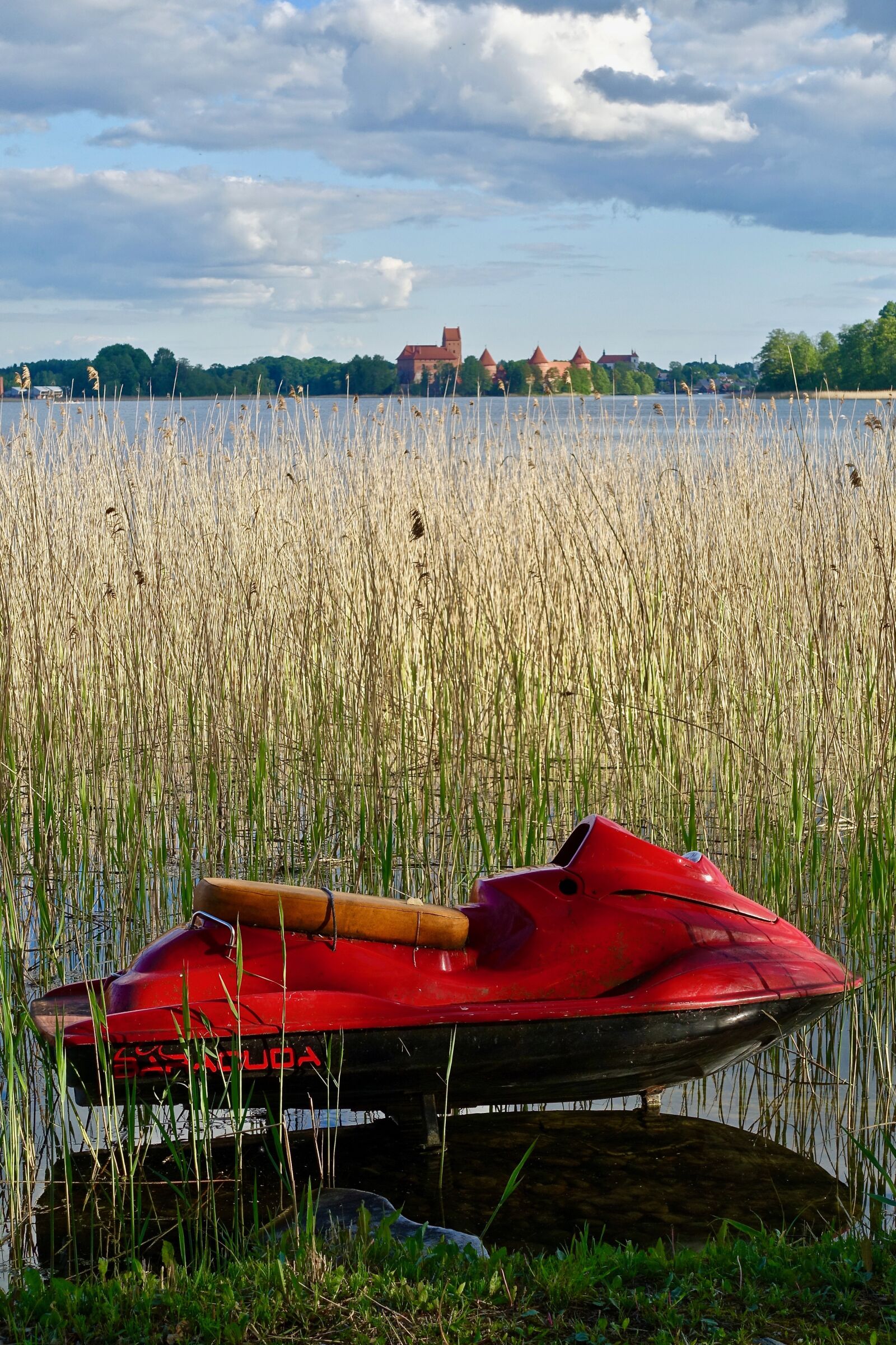 Sony Cyber-shot DSC-RX100 III sample photo. Jetski, red, reeds photography
